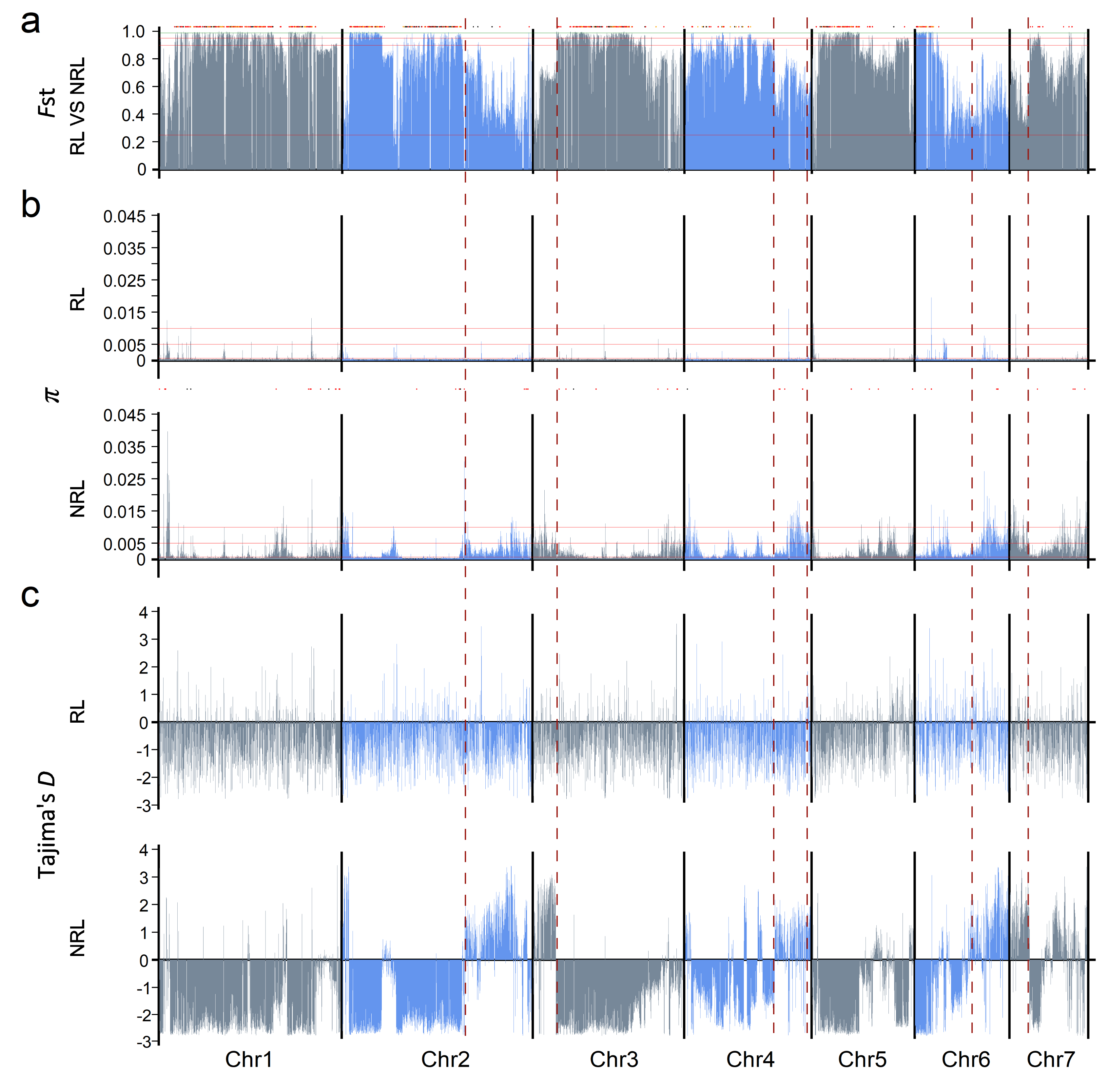 Aging-Induced Impairment of Vascular Function: Mitochondrial