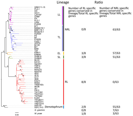 Comparative Genomics and Gene Pool Analysis Reveal the