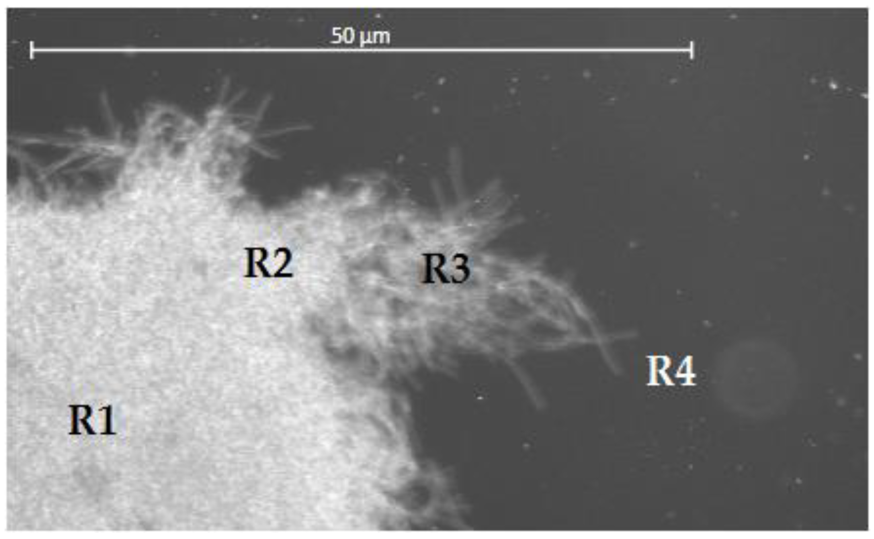 Jof 08 00007 g001 550