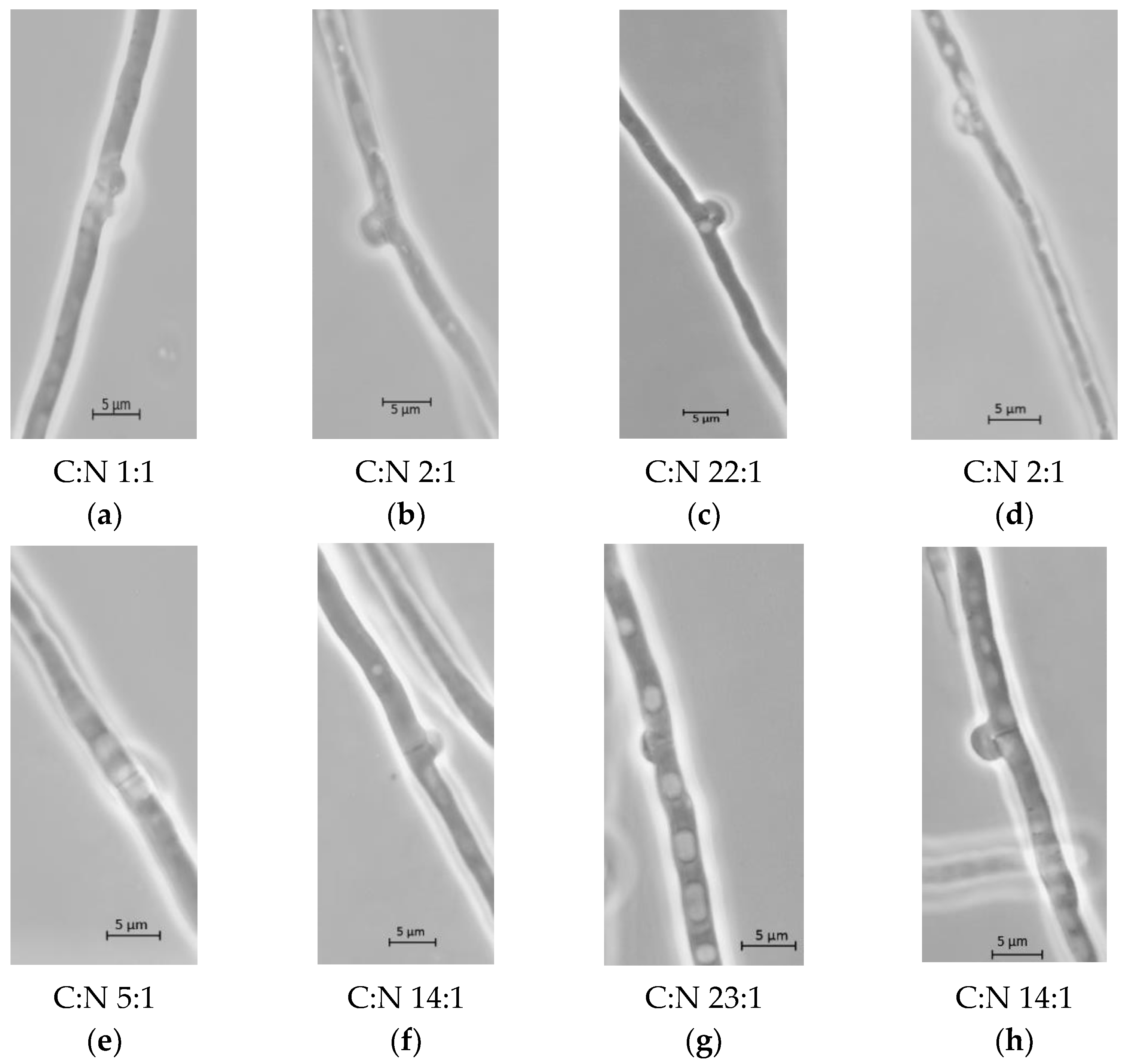 Jof 08 00007 g003 550