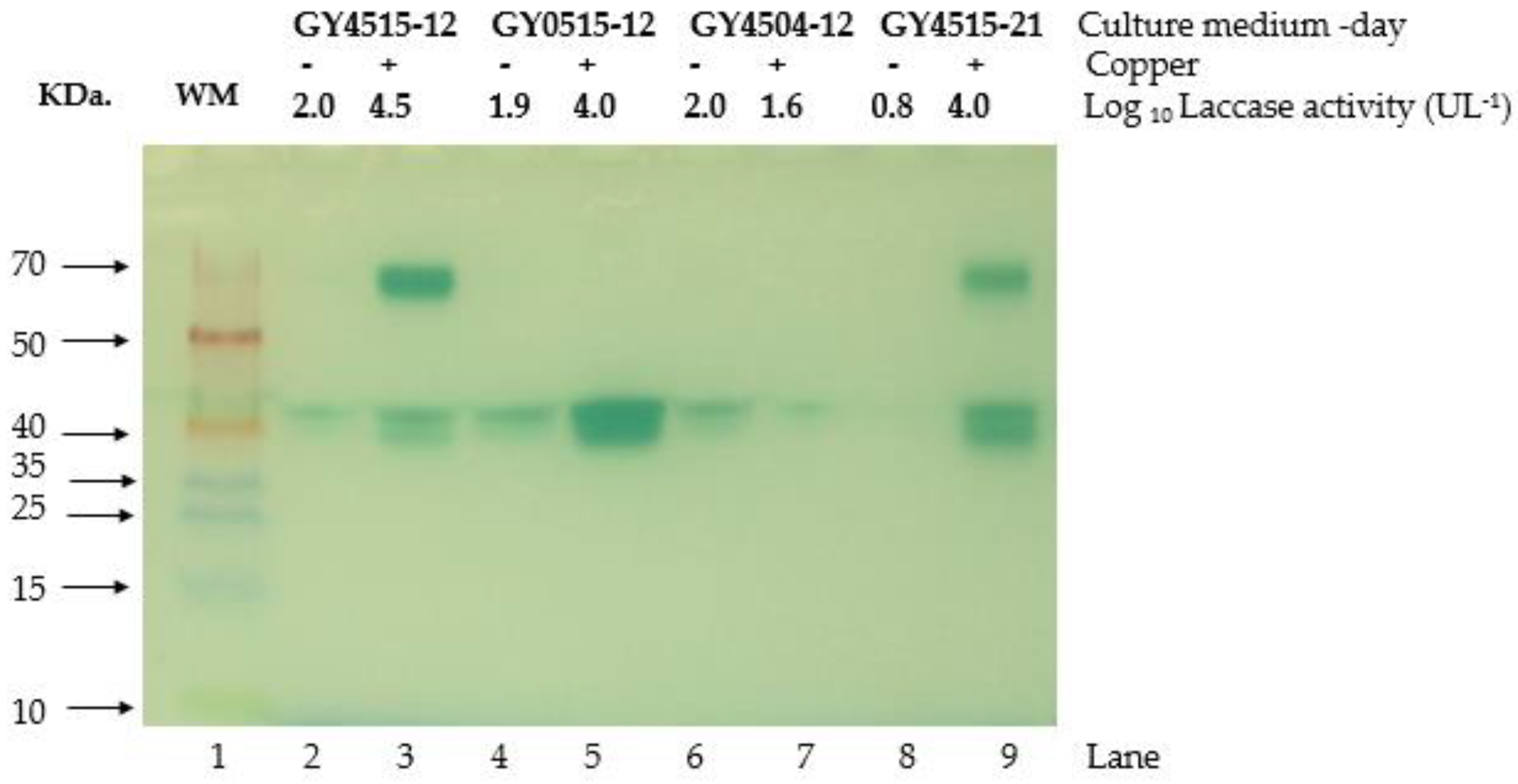 Jof 08 00007 g008 550