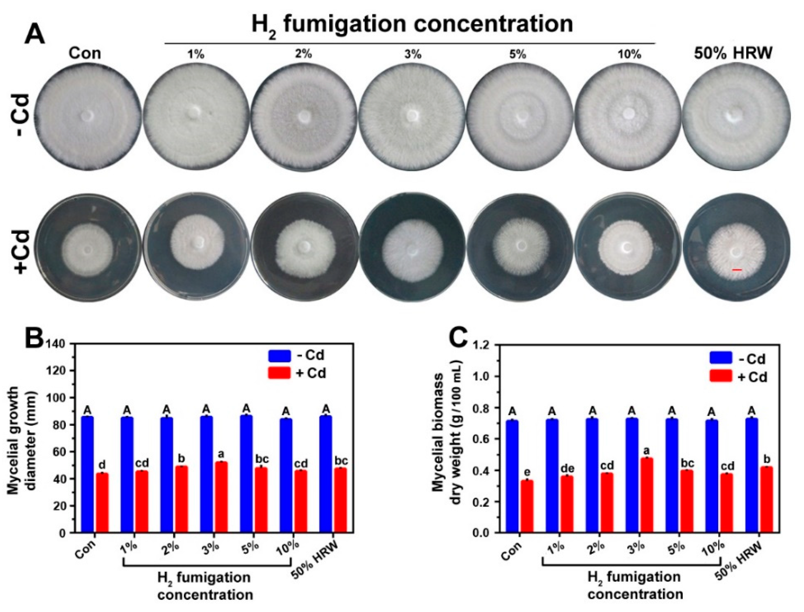 Jof 08 00010 g001 550