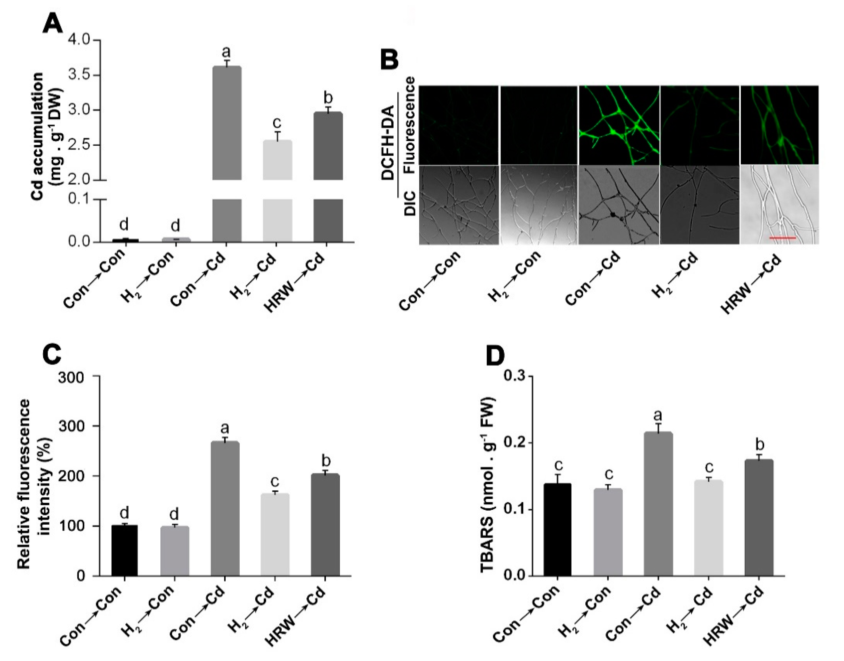 Jof 08 00010 g002 550