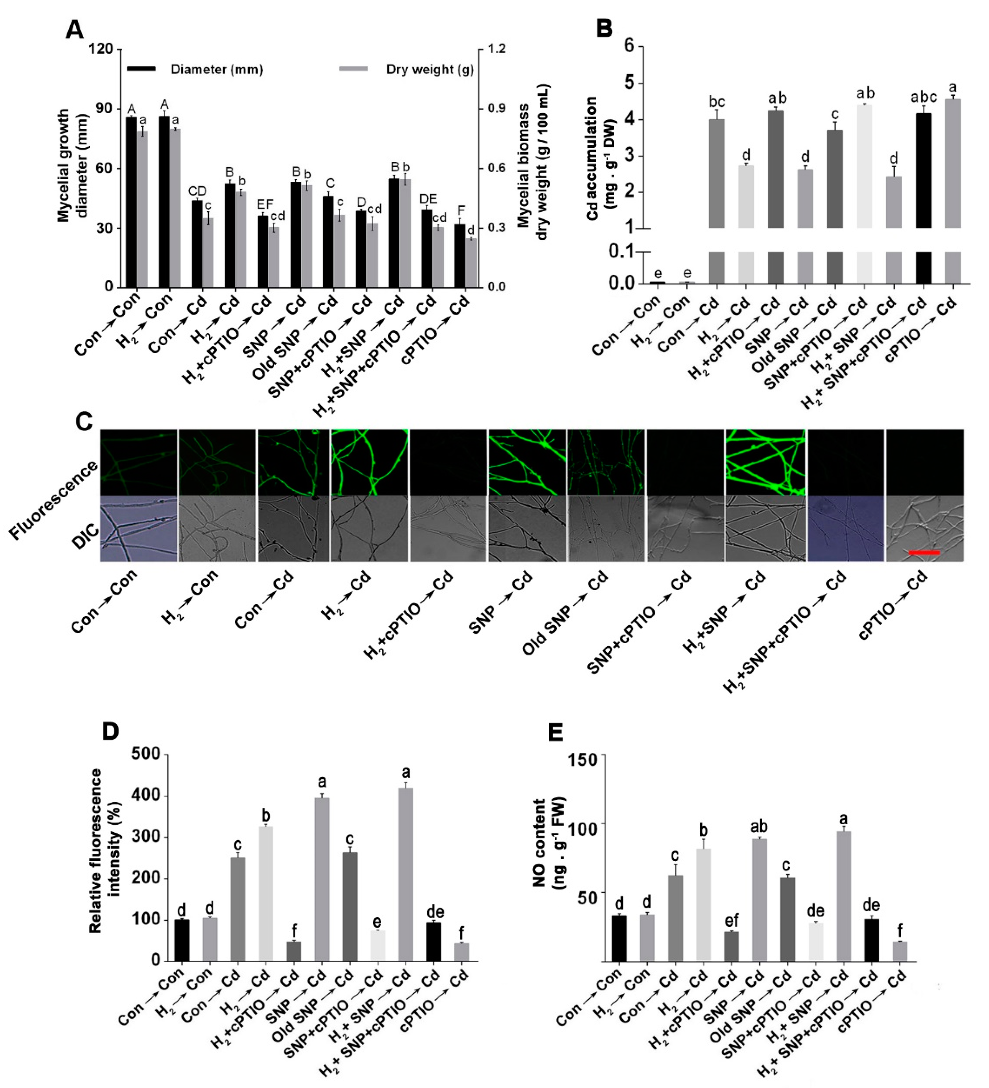 Jof 08 00010 g004 550