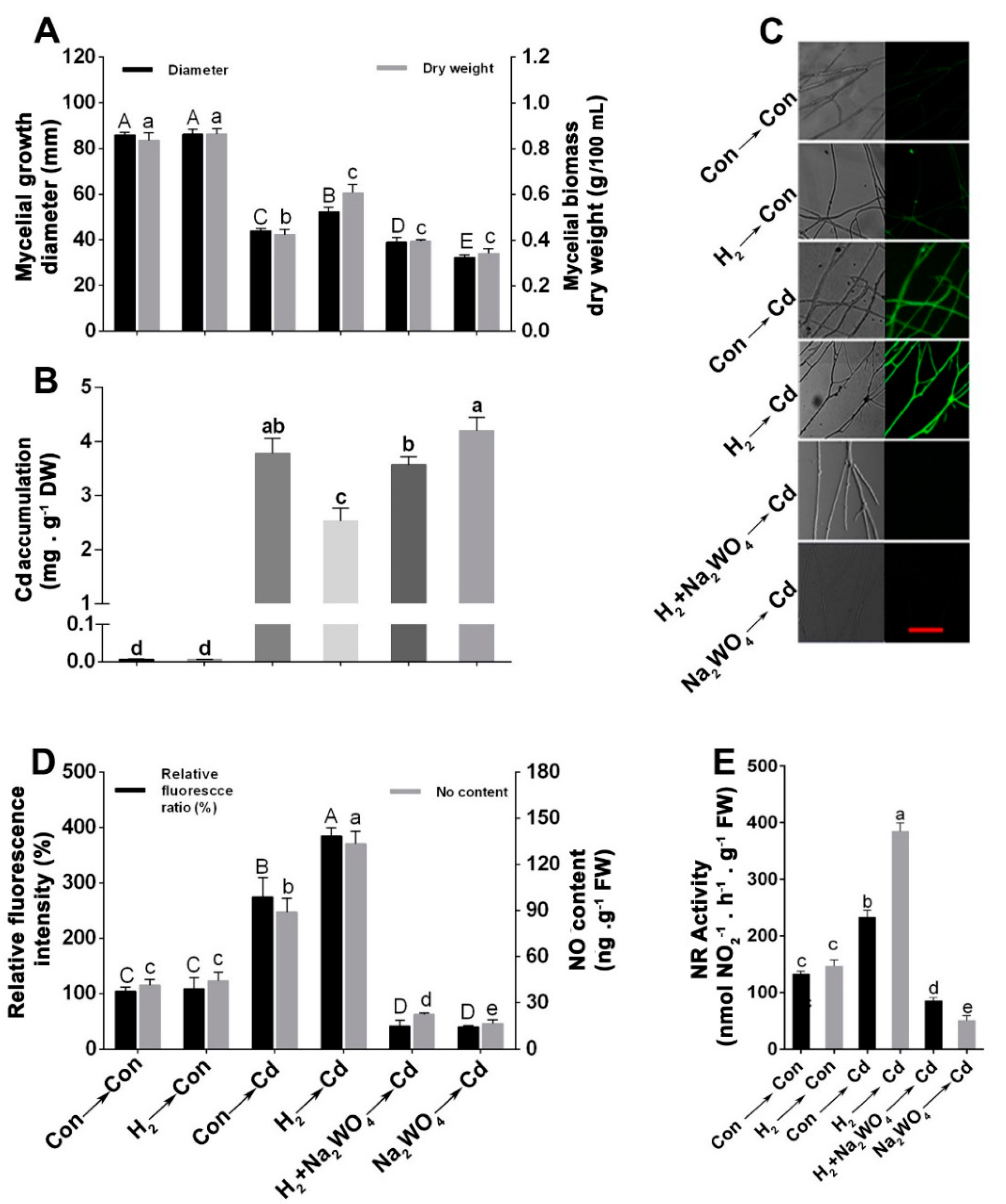 Jof 08 00010 g005 550