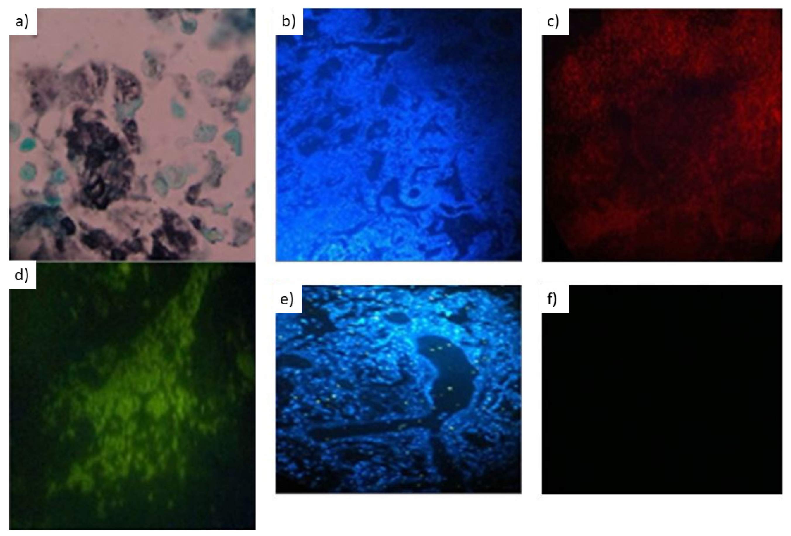 Jof 08 00013 g001 Jof 08 00013 g001