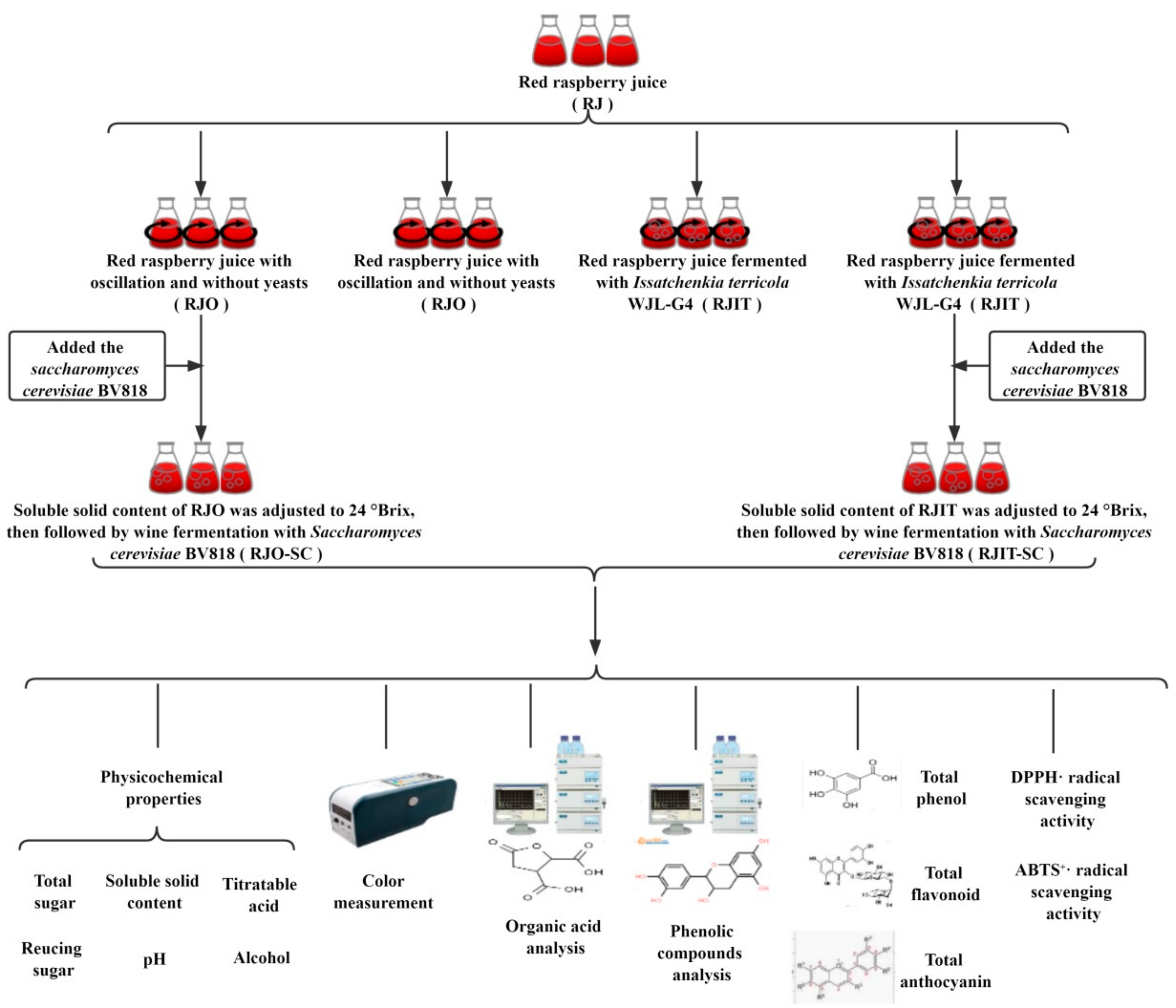 Jof 08 00017 g001 Jof 08 00017 g001