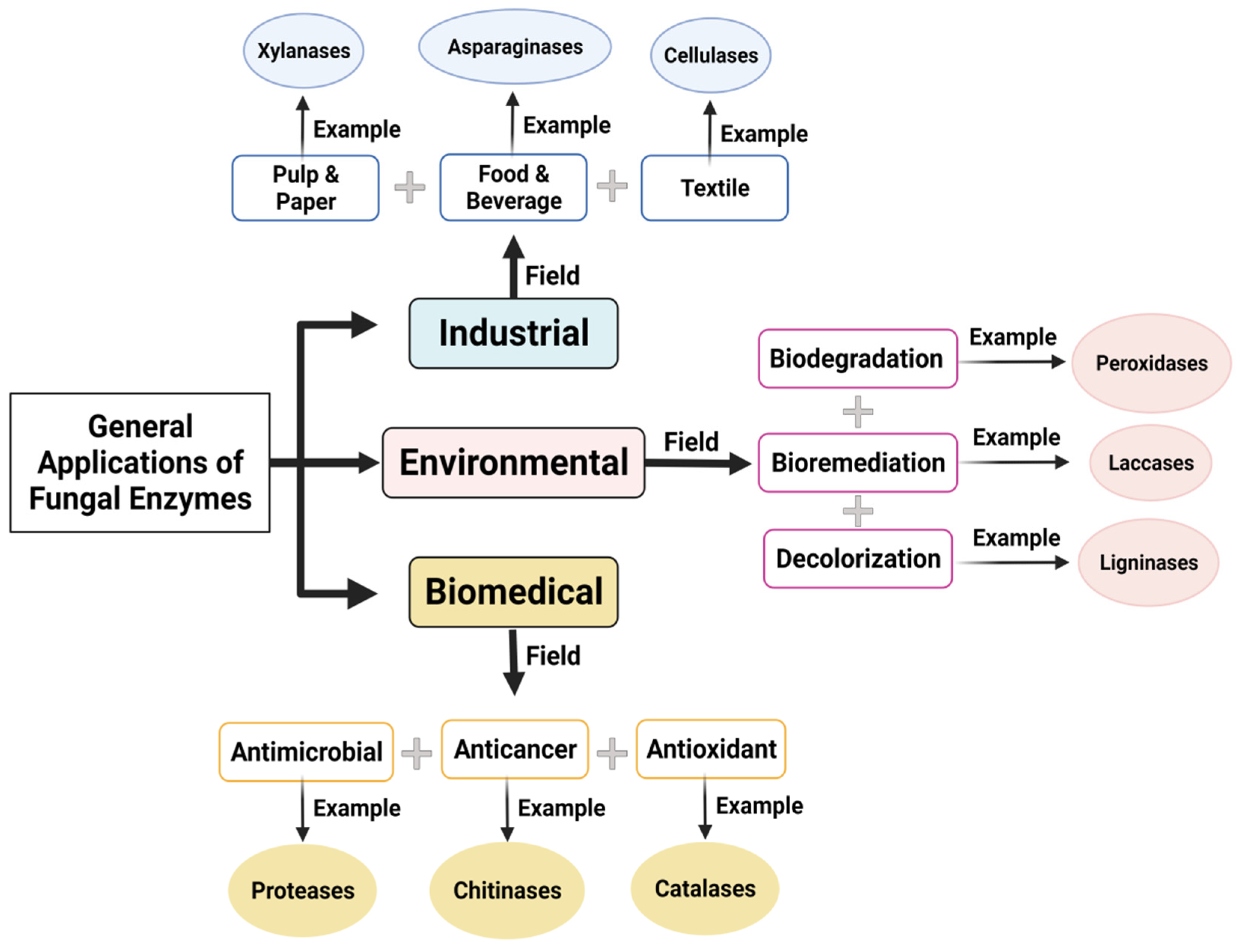 Jof 08 00023 g002 Jof 08 00023 g002