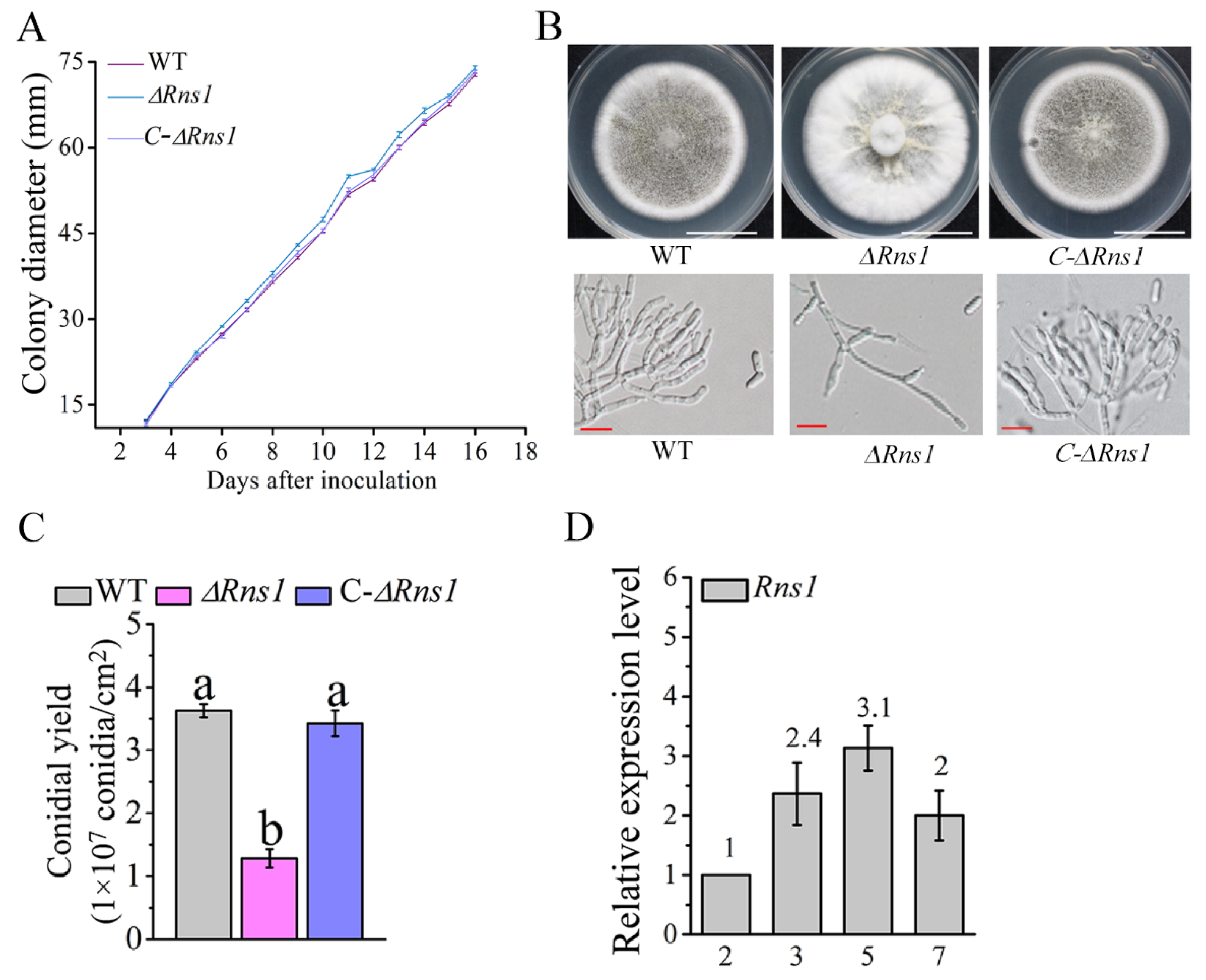 Jof 08 00026 g001 Jof 08 00026 g001