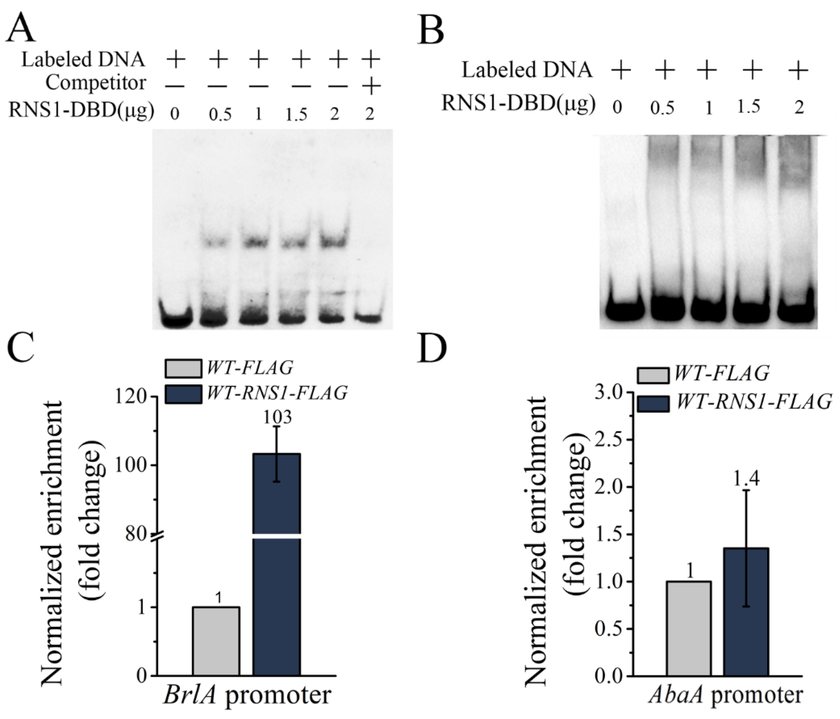 Jof 08 00026 g002 Jof 08 00026 g002