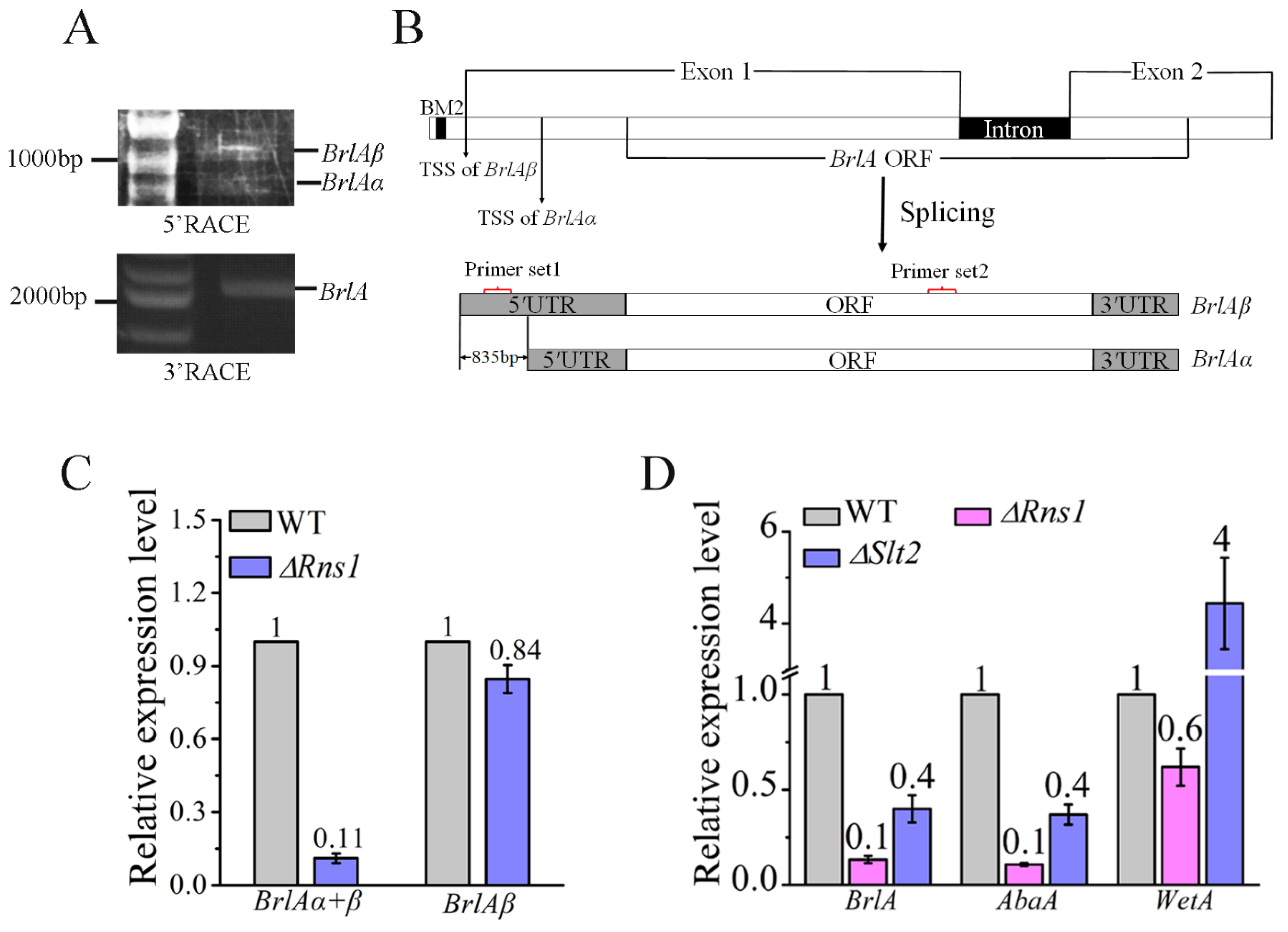 Jof 08 00026 g003 Jof 08 00026 g003
