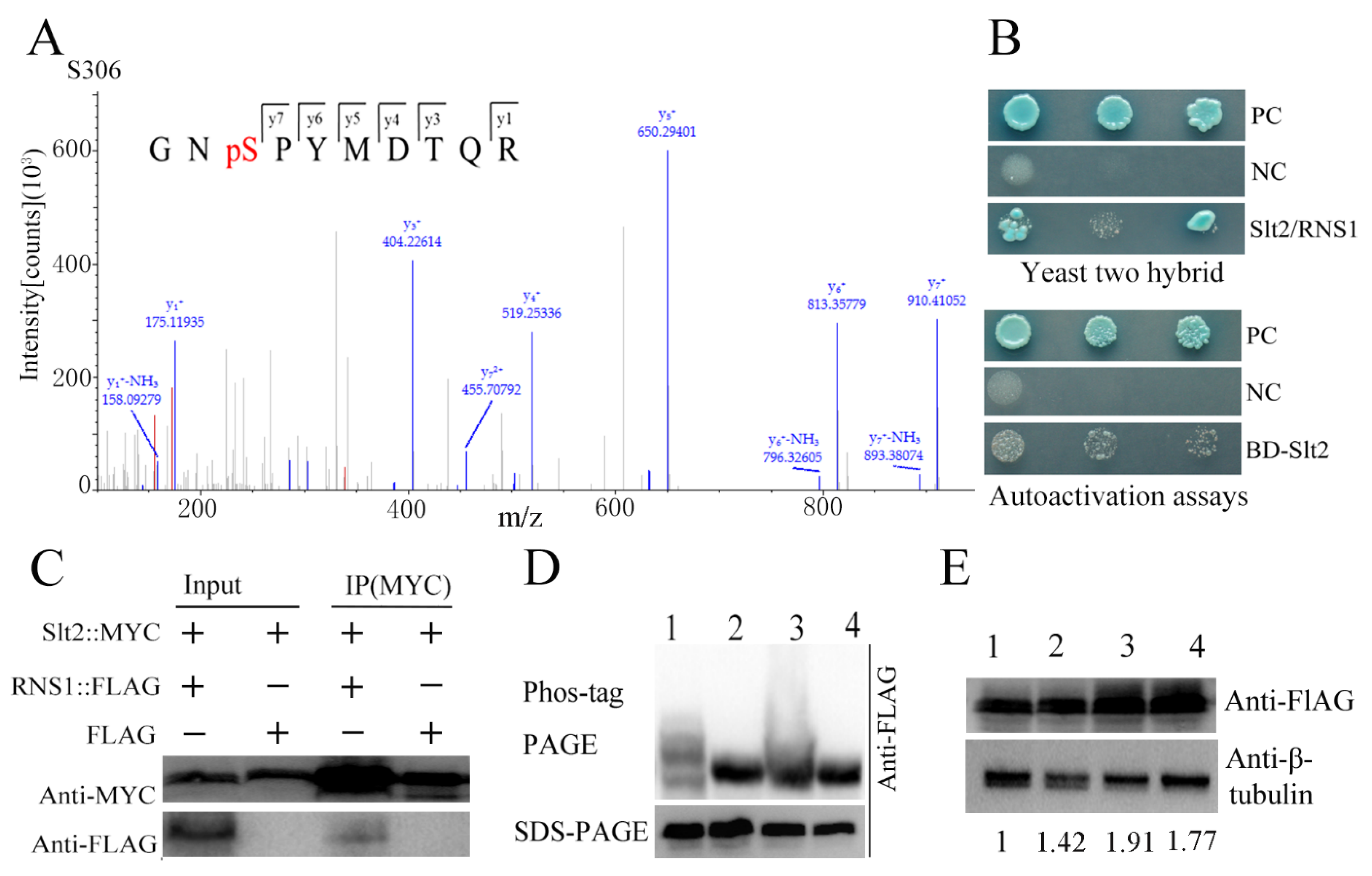 Jof 08 00026 g005 Jof 08 00026 g005