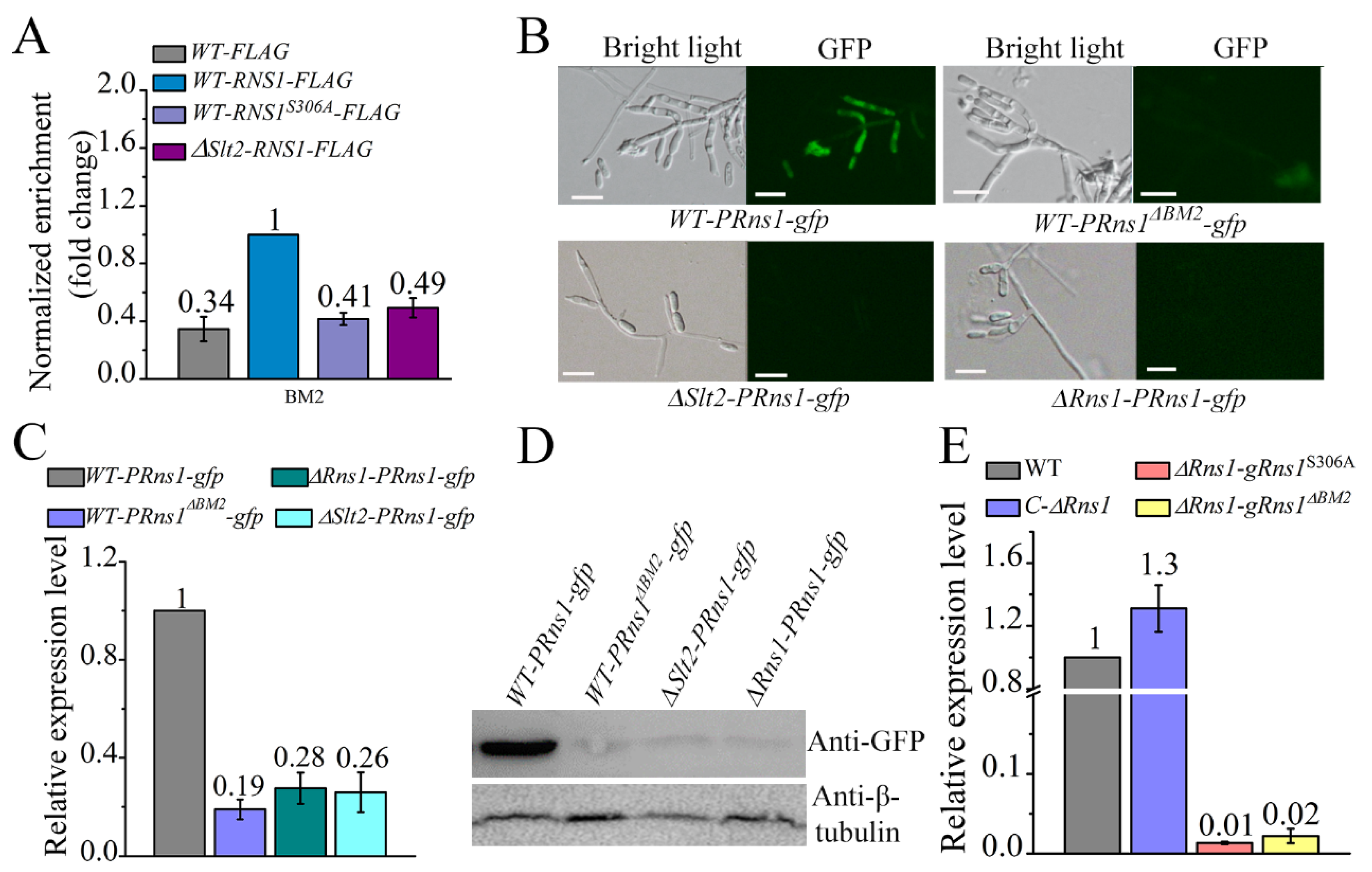 Jof 08 00026 g006 Jof 08 00026 g006