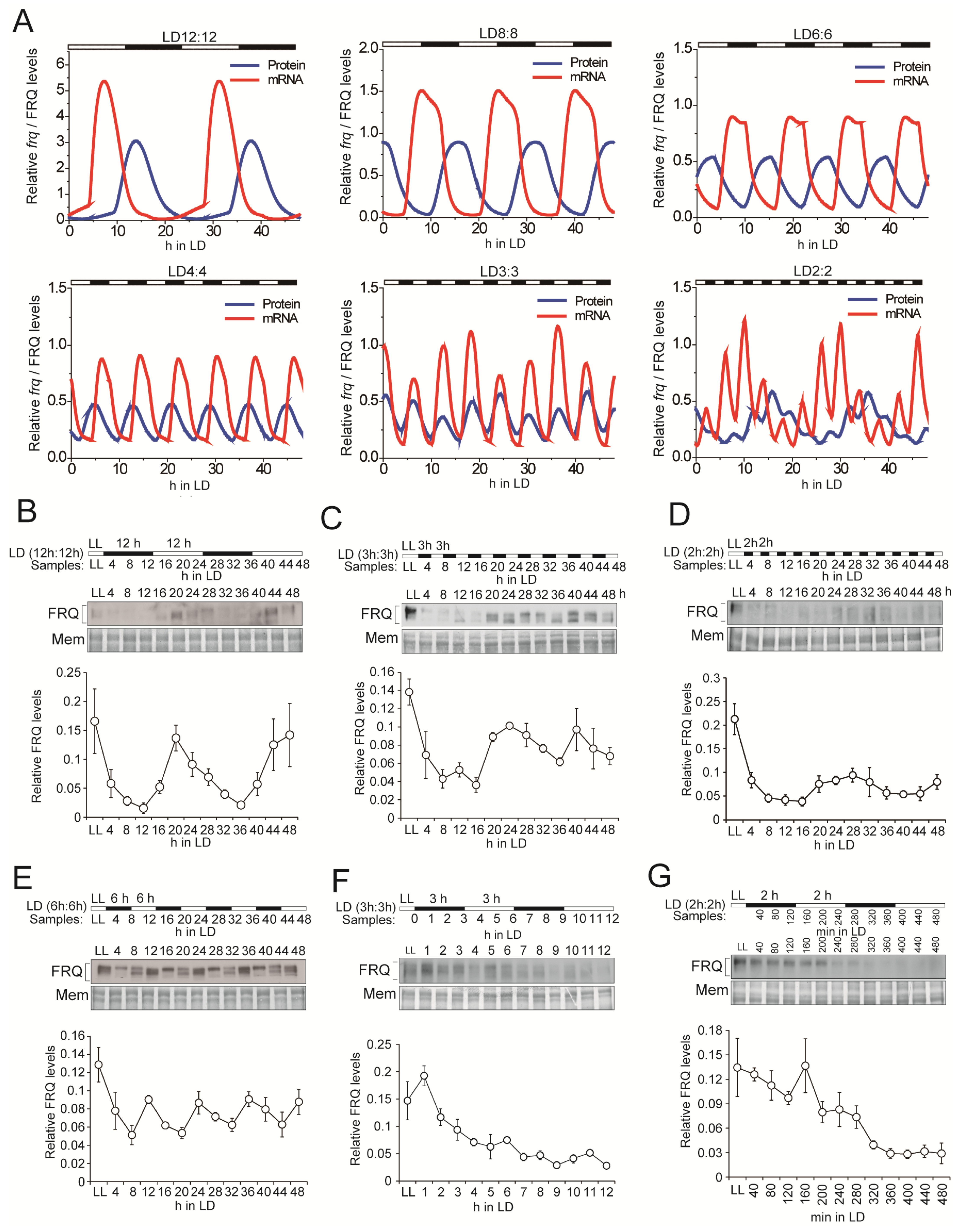 Jof 08 00027 g002 Jof 08 00027 g002