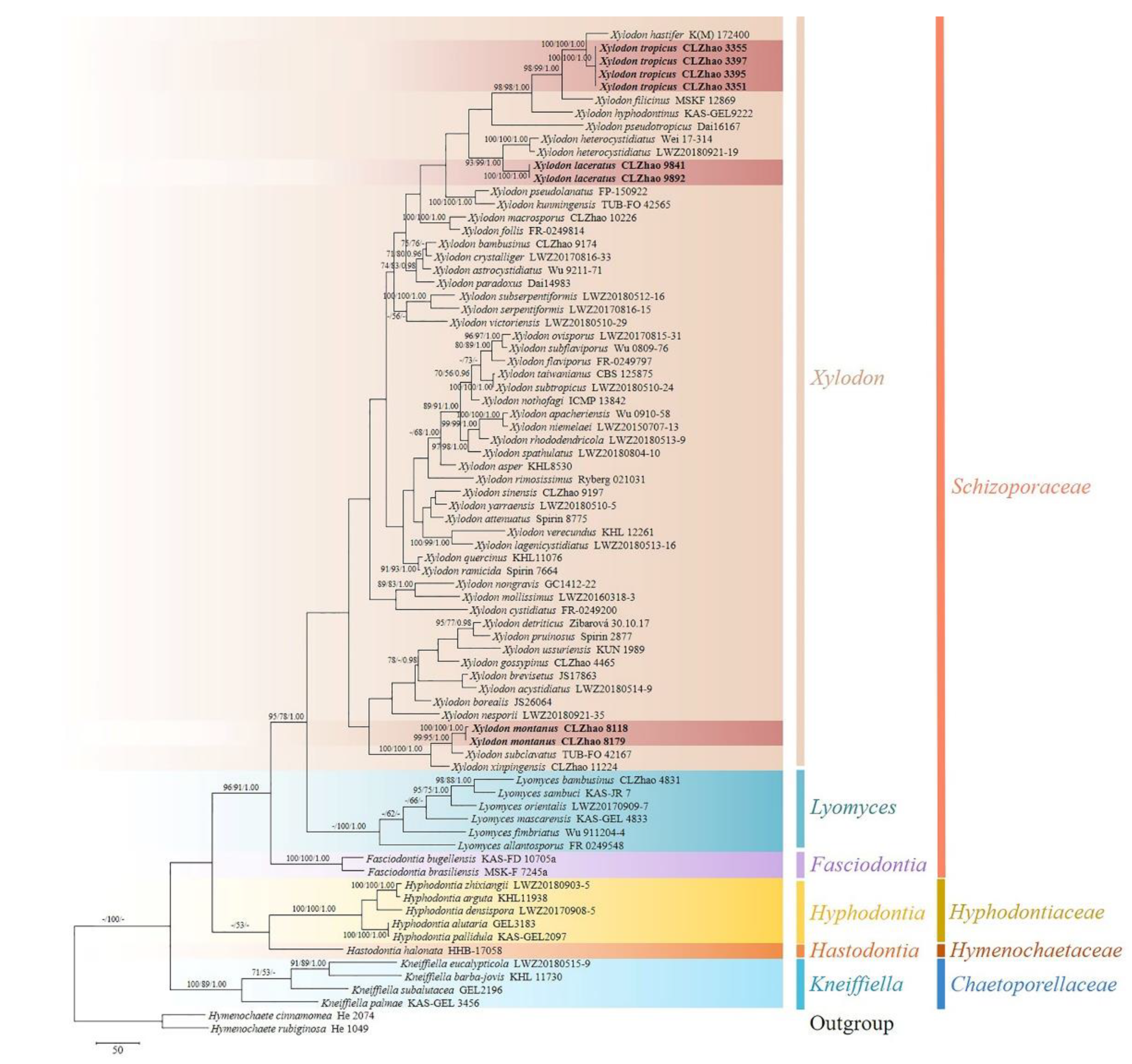 Jof 08 00035 g001 550