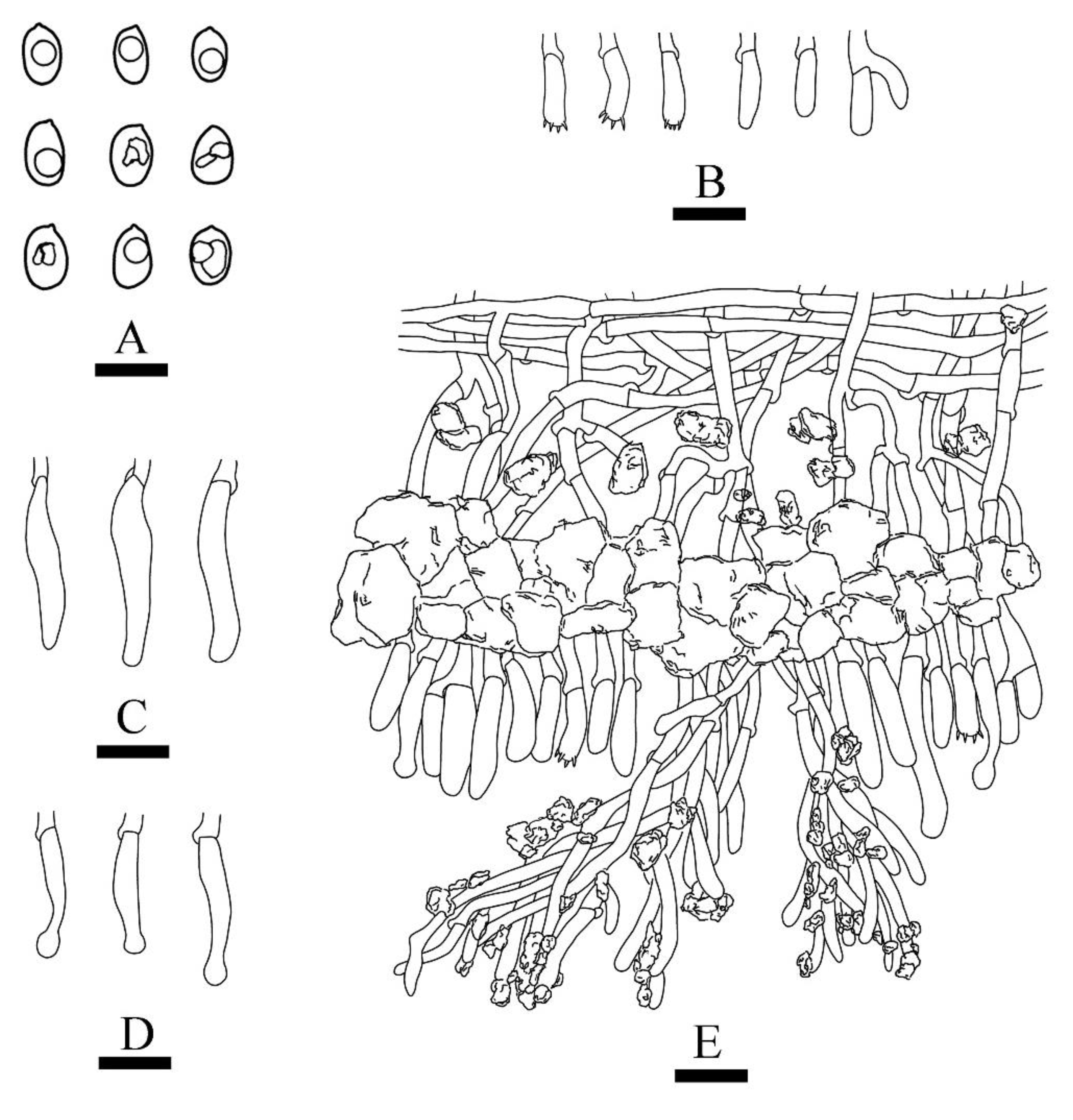 Jof 08 00035 g004 550