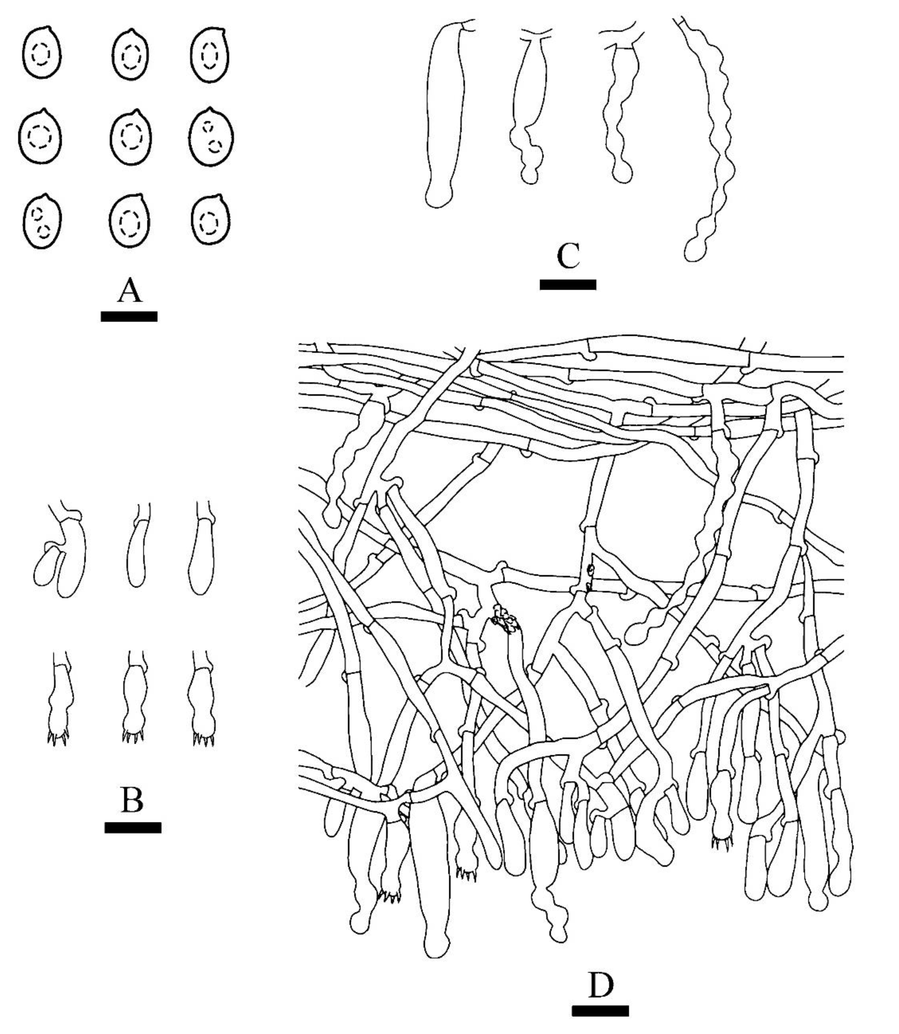Jof 08 00035 g006 550