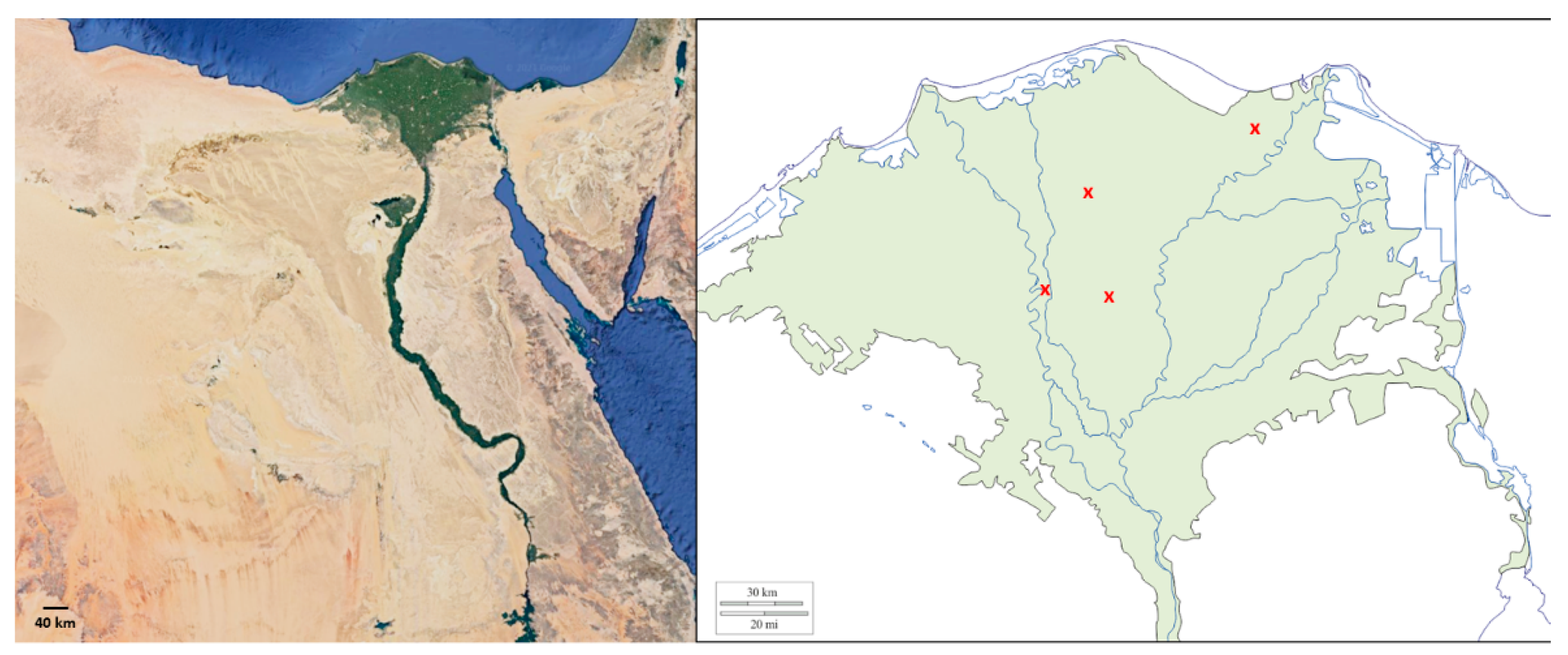 Jof 08 00054 g001 Jof 08 00054 g001