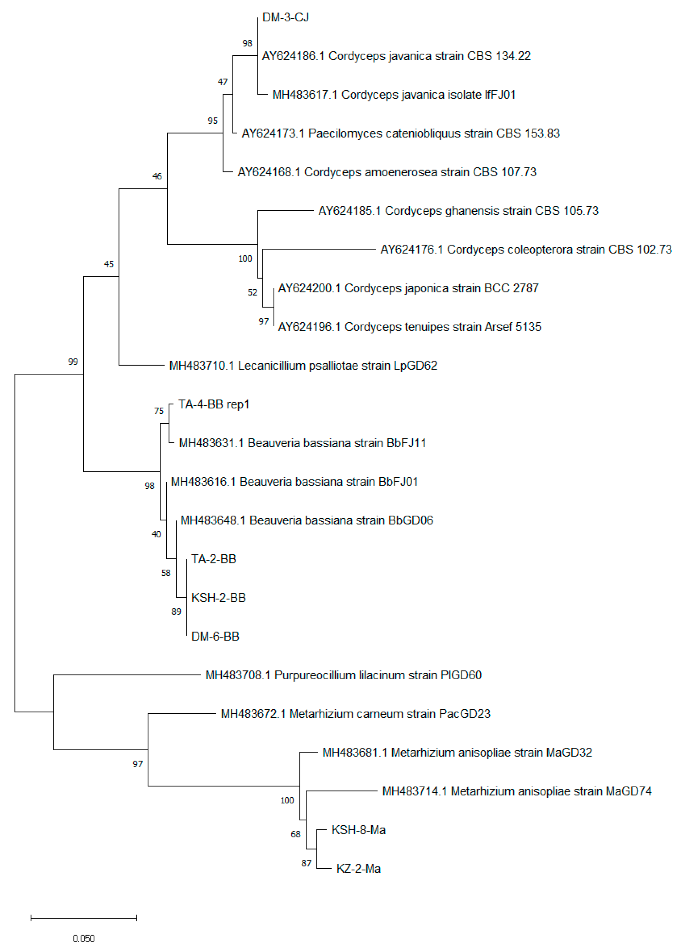 Jof 08 00054 g003 Jof 08 00054 g003