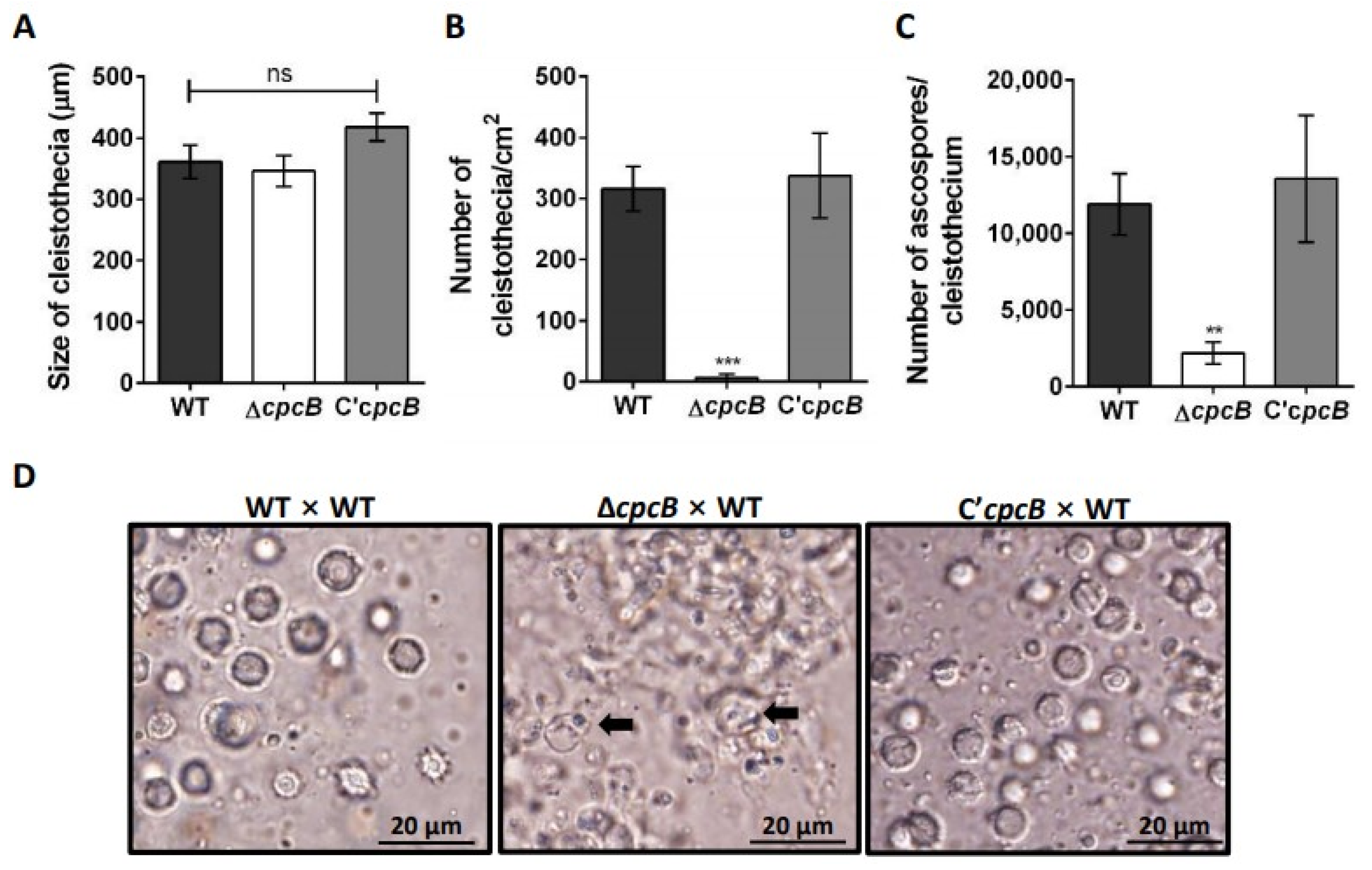 Jof 08 00056 g002 Jof 08 00056 g002