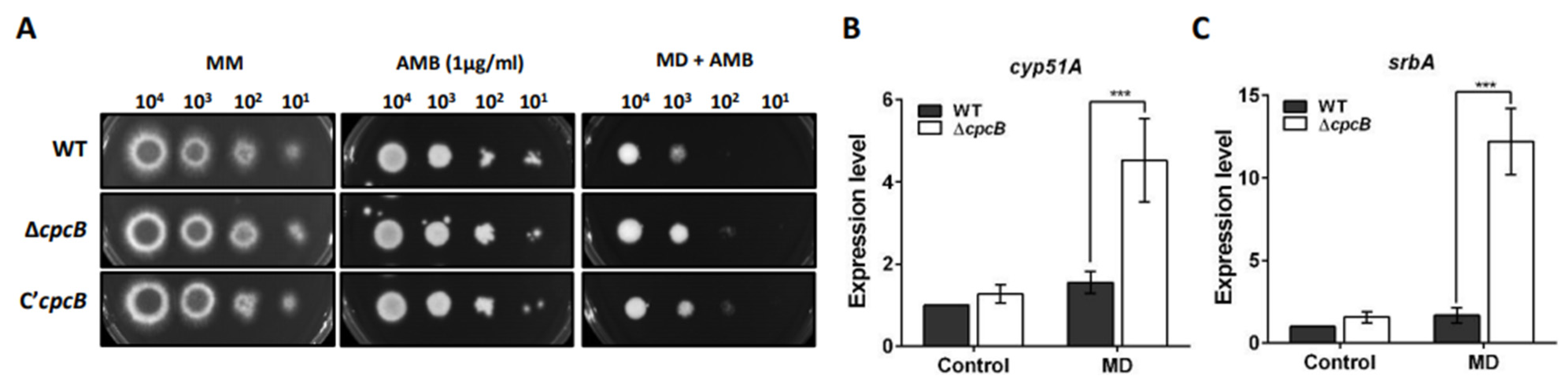 Jof 08 00056 g007 Jof 08 00056 g007