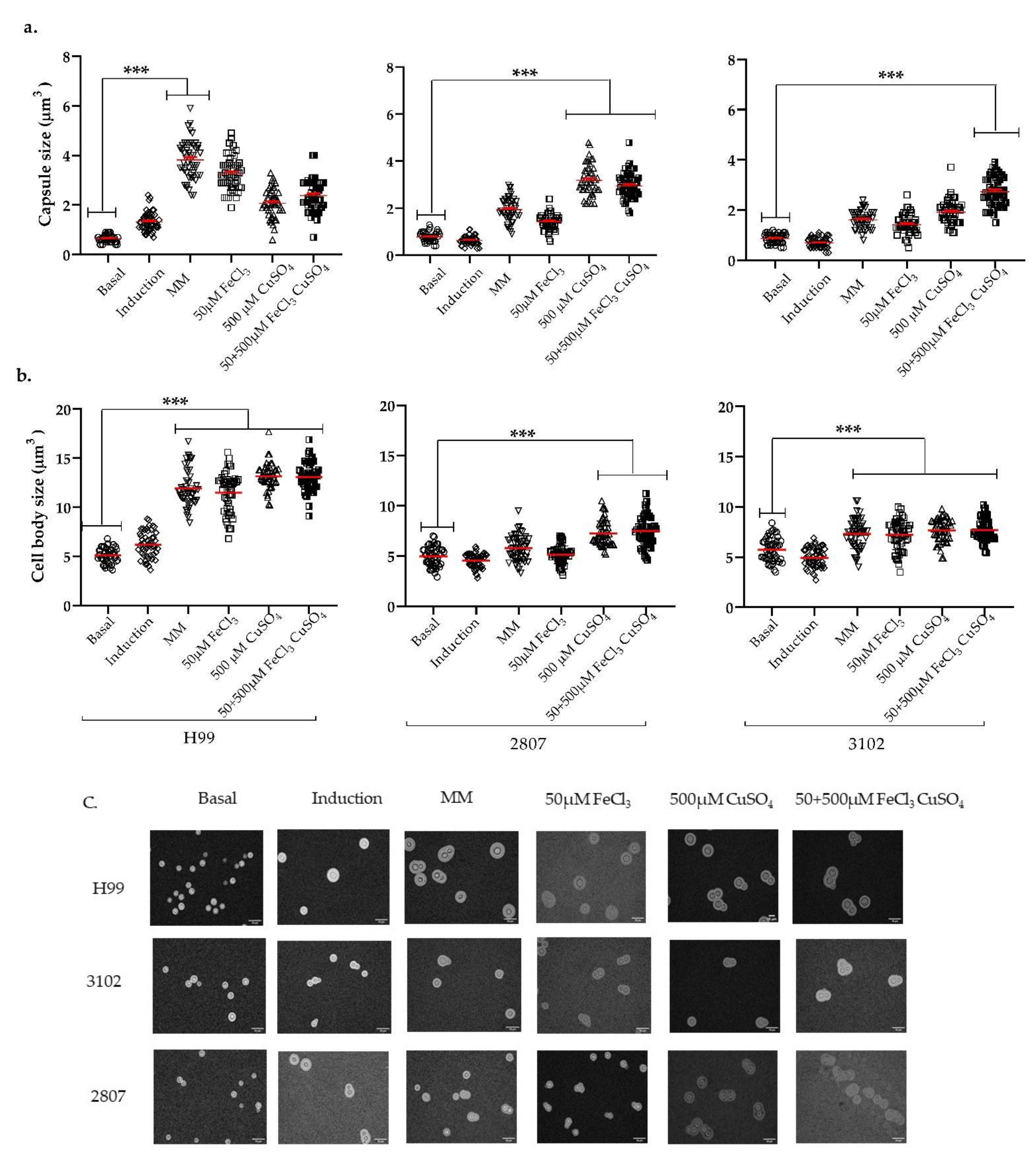 Jof 08 00057 g003 Jof 08 00057 g003