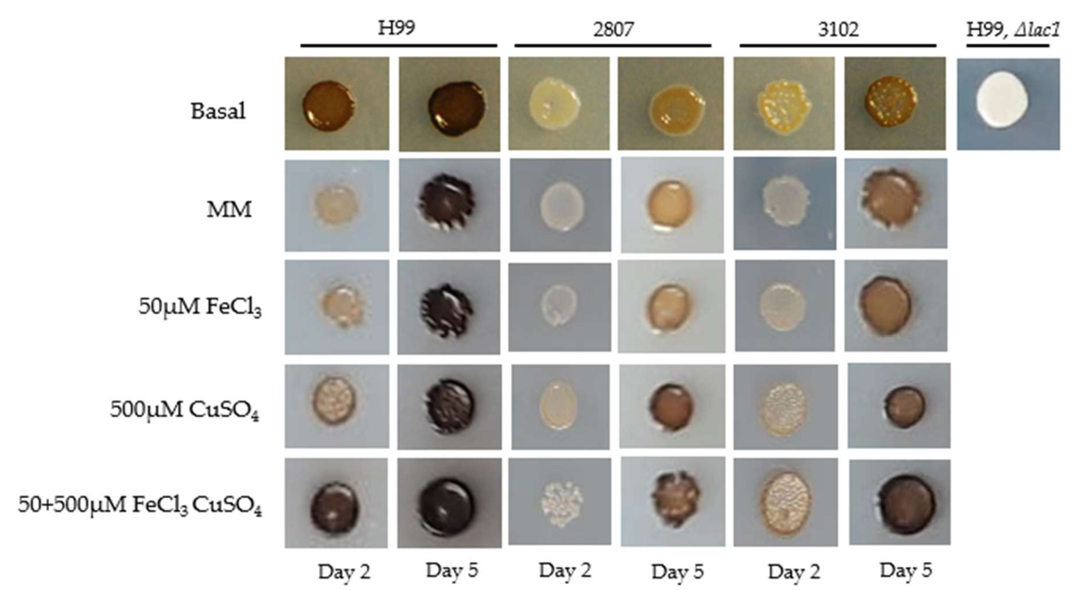 Jof 08 00057 g004 Jof 08 00057 g004