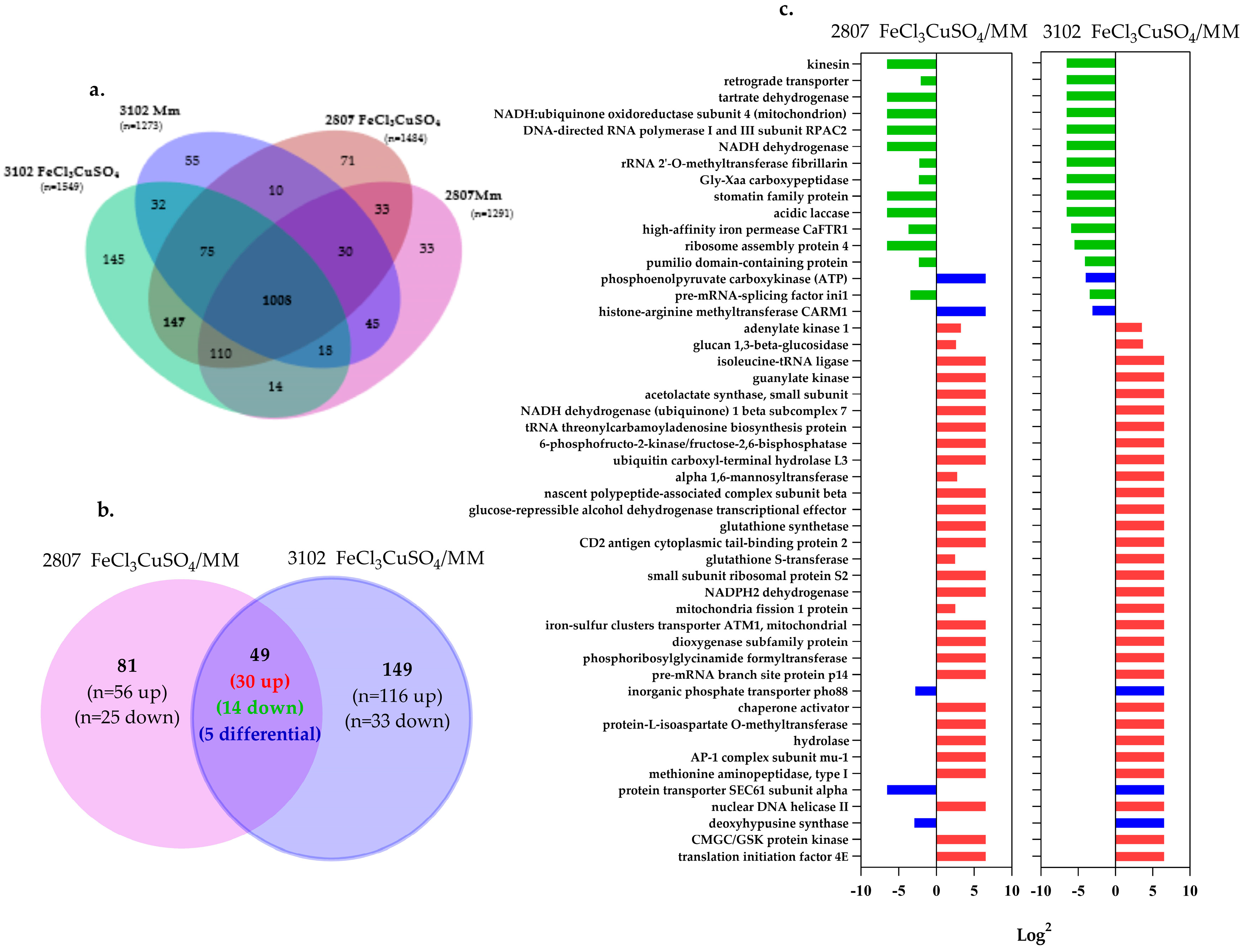 Jof 08 00057 g005 Jof 08 00057 g005