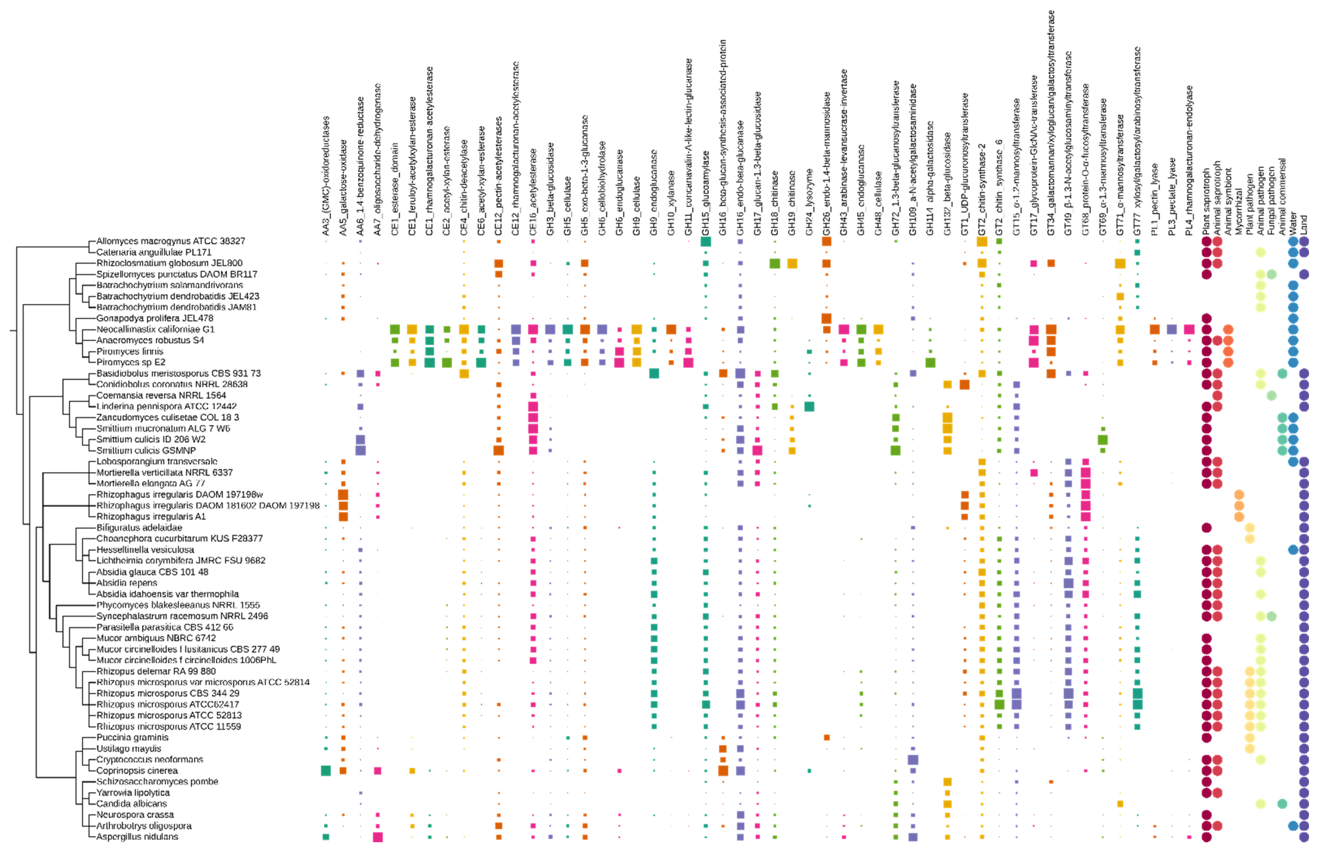 Jof 08 00067 g001 Jof 08 00067 g001