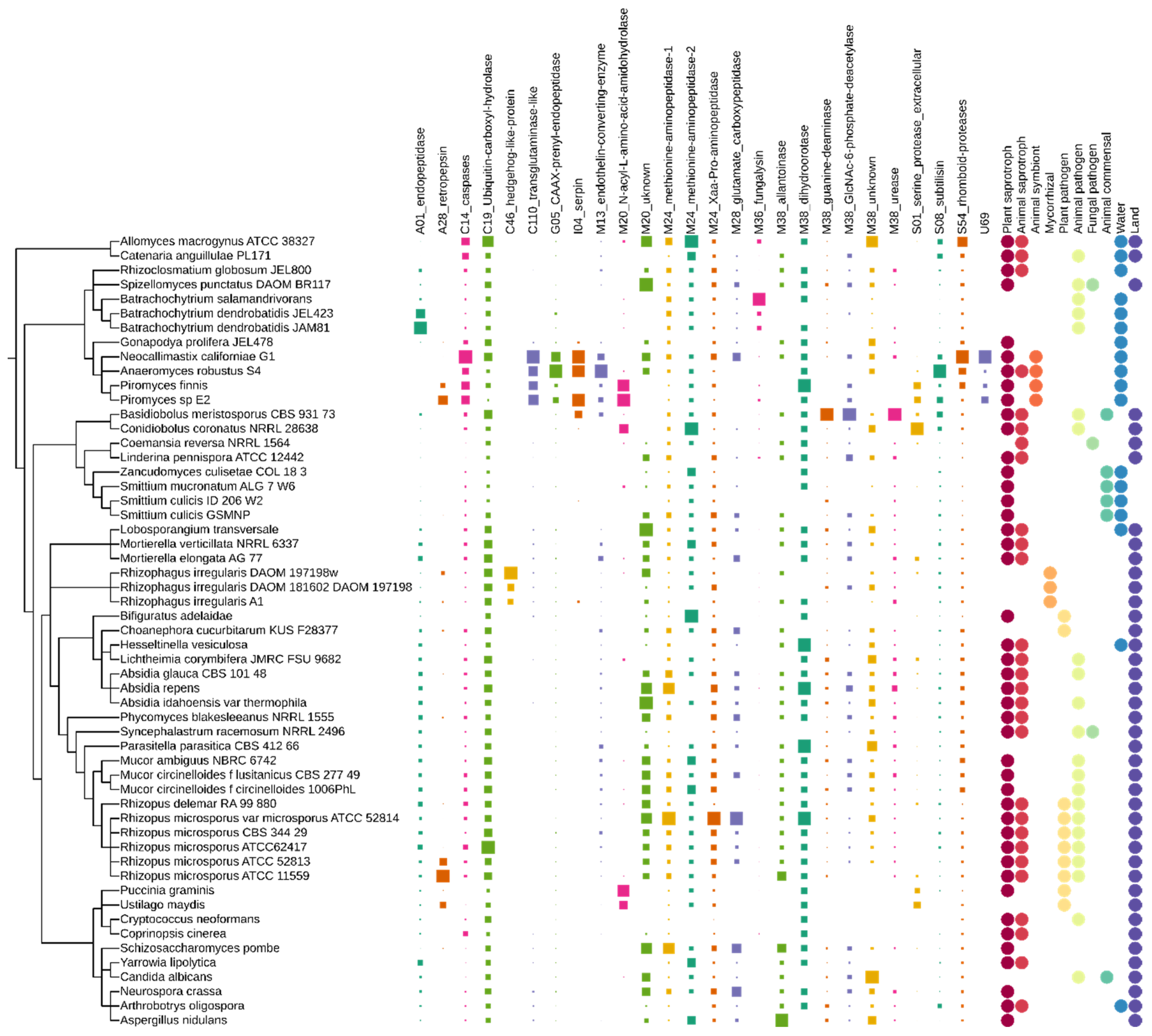 Jof 08 00067 g002 Jof 08 00067 g002