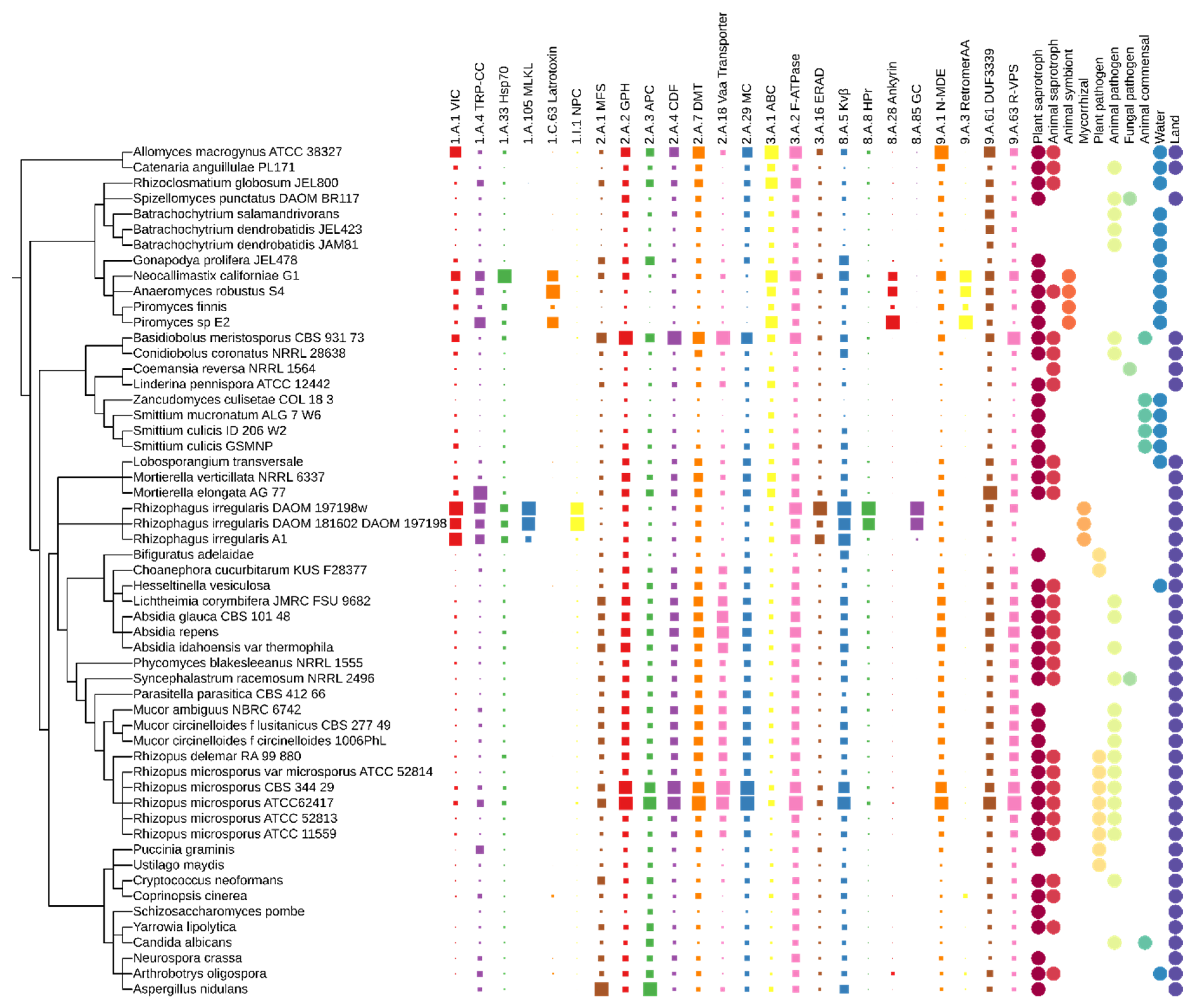 Jof 08 00067 g003 Jof 08 00067 g003