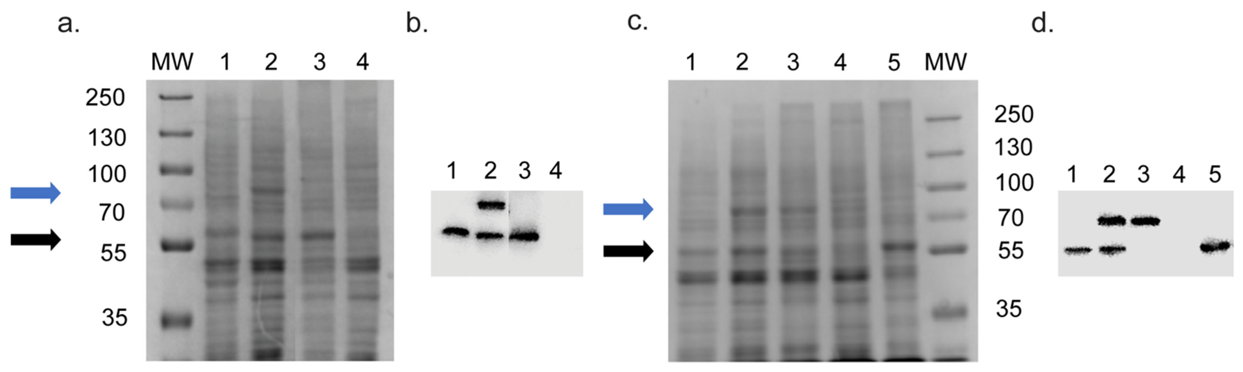Jof 08 00069 g002 Jof 08 00069 g002