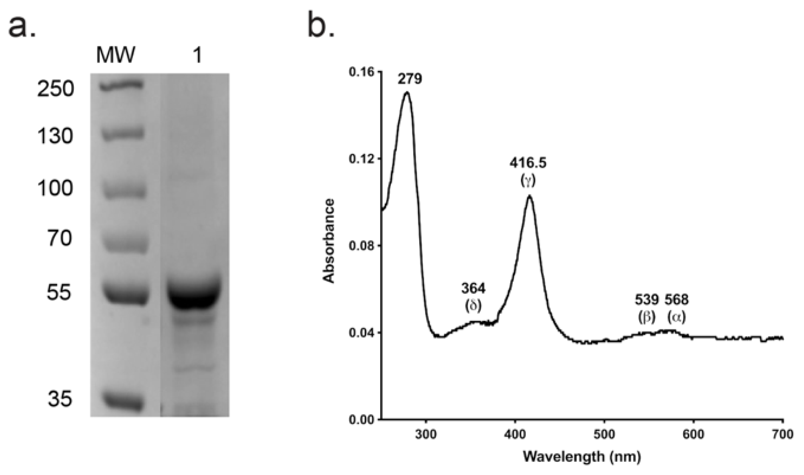 Jof 08 00069 g005 Jof 08 00069 g005