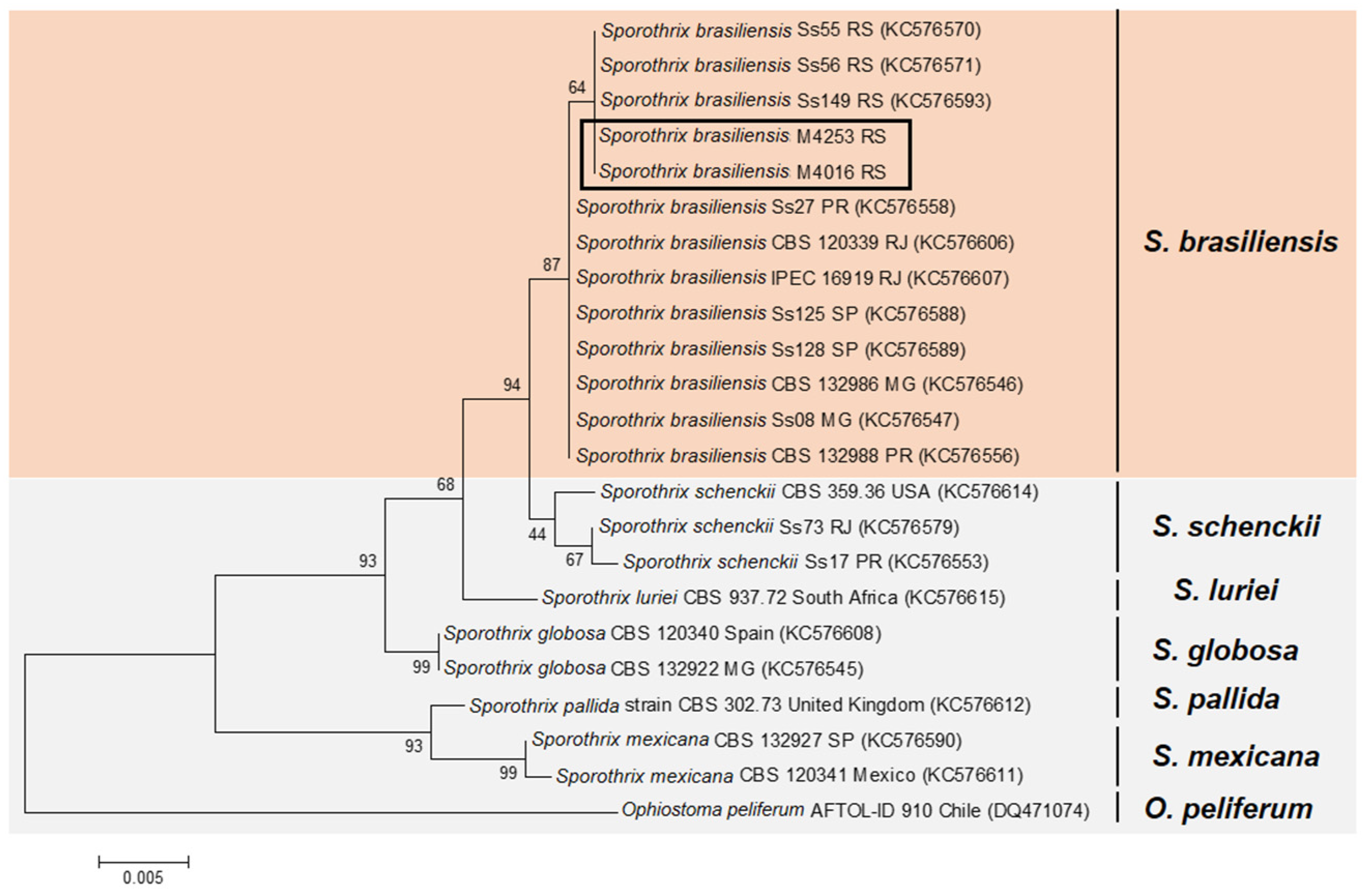 Jof 08 00070 g001 550