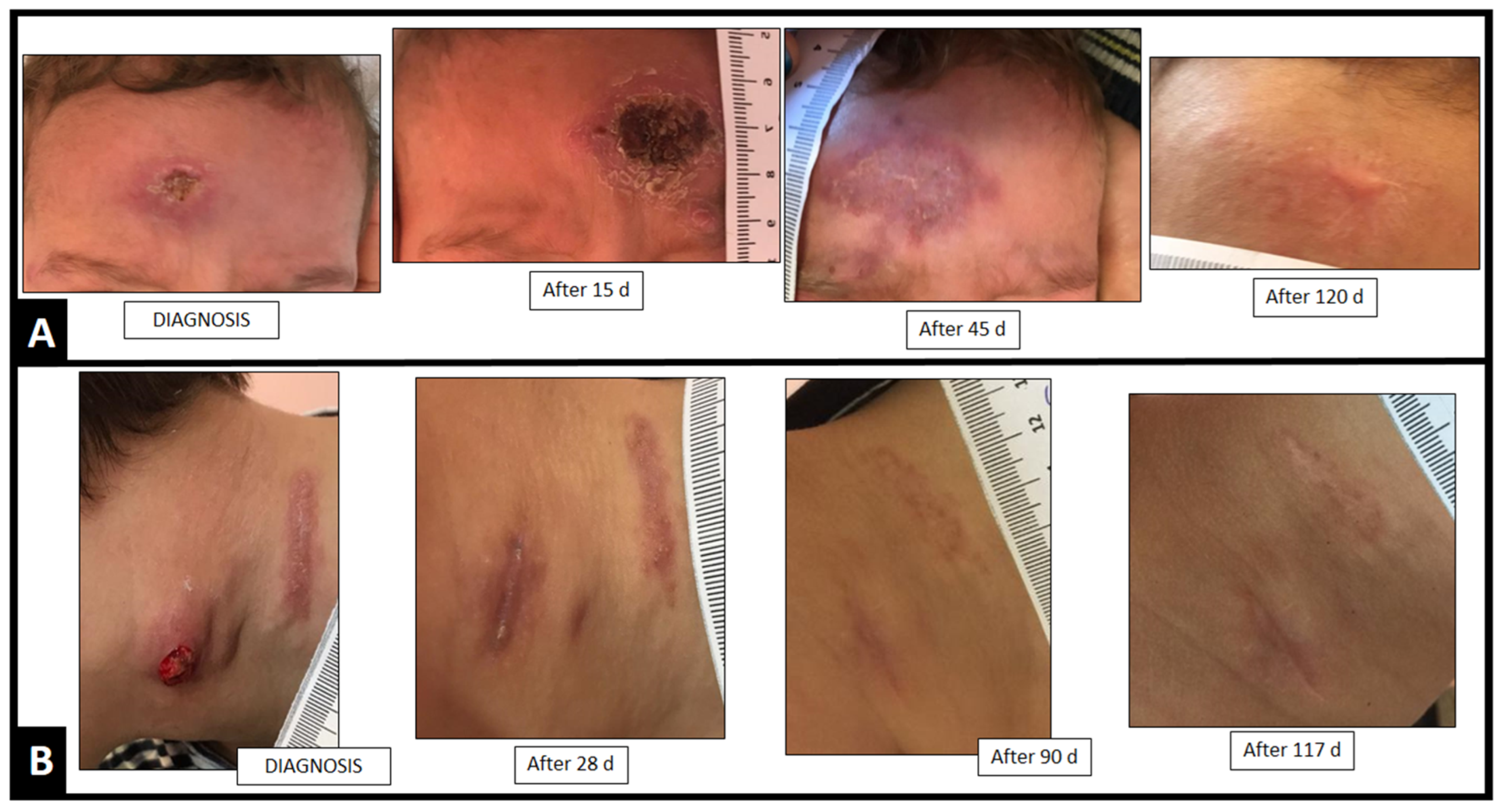 Jof 08 00070 g003 550