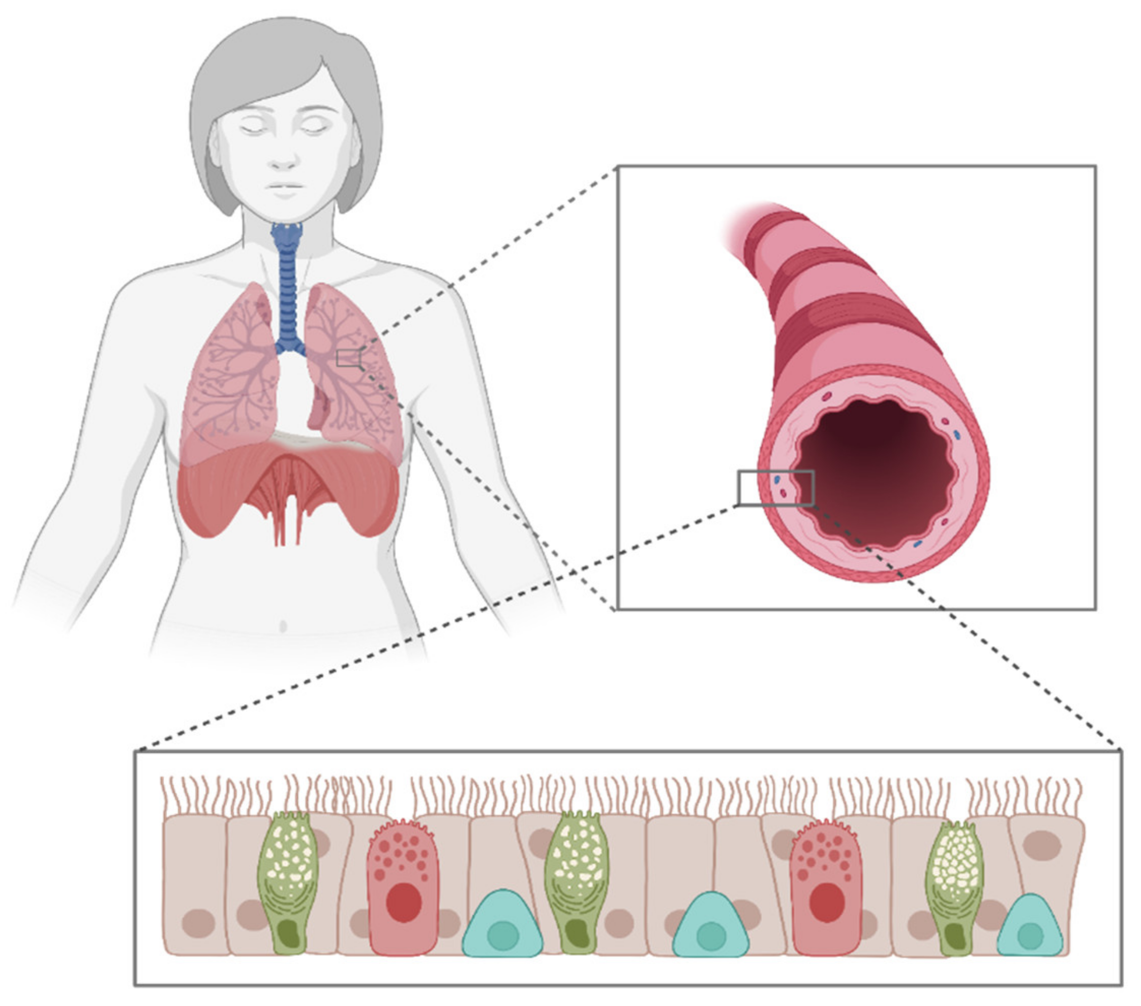 Jof 08 00075 g001 Jof 08 00075 g001