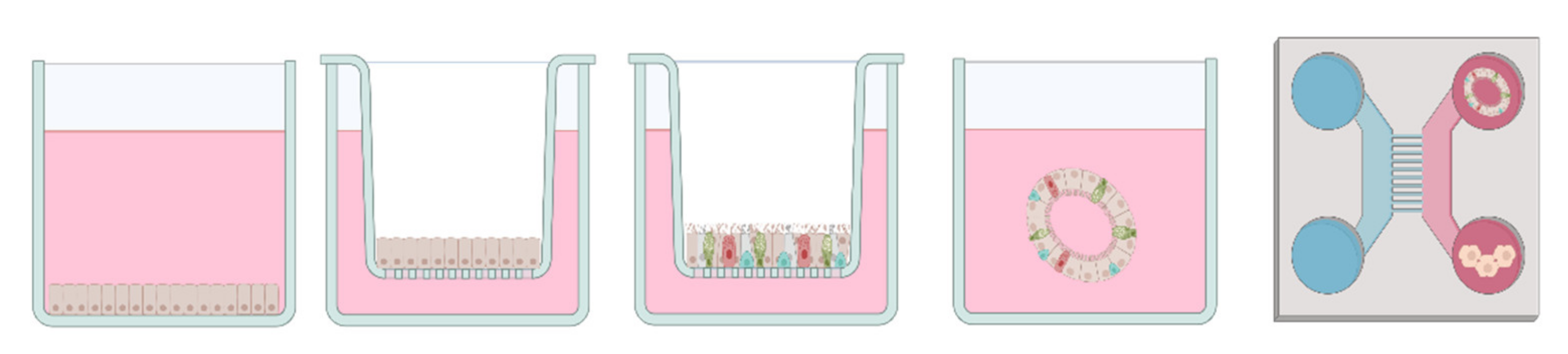 Jof 08 00075 g002 Jof 08 00075 g002