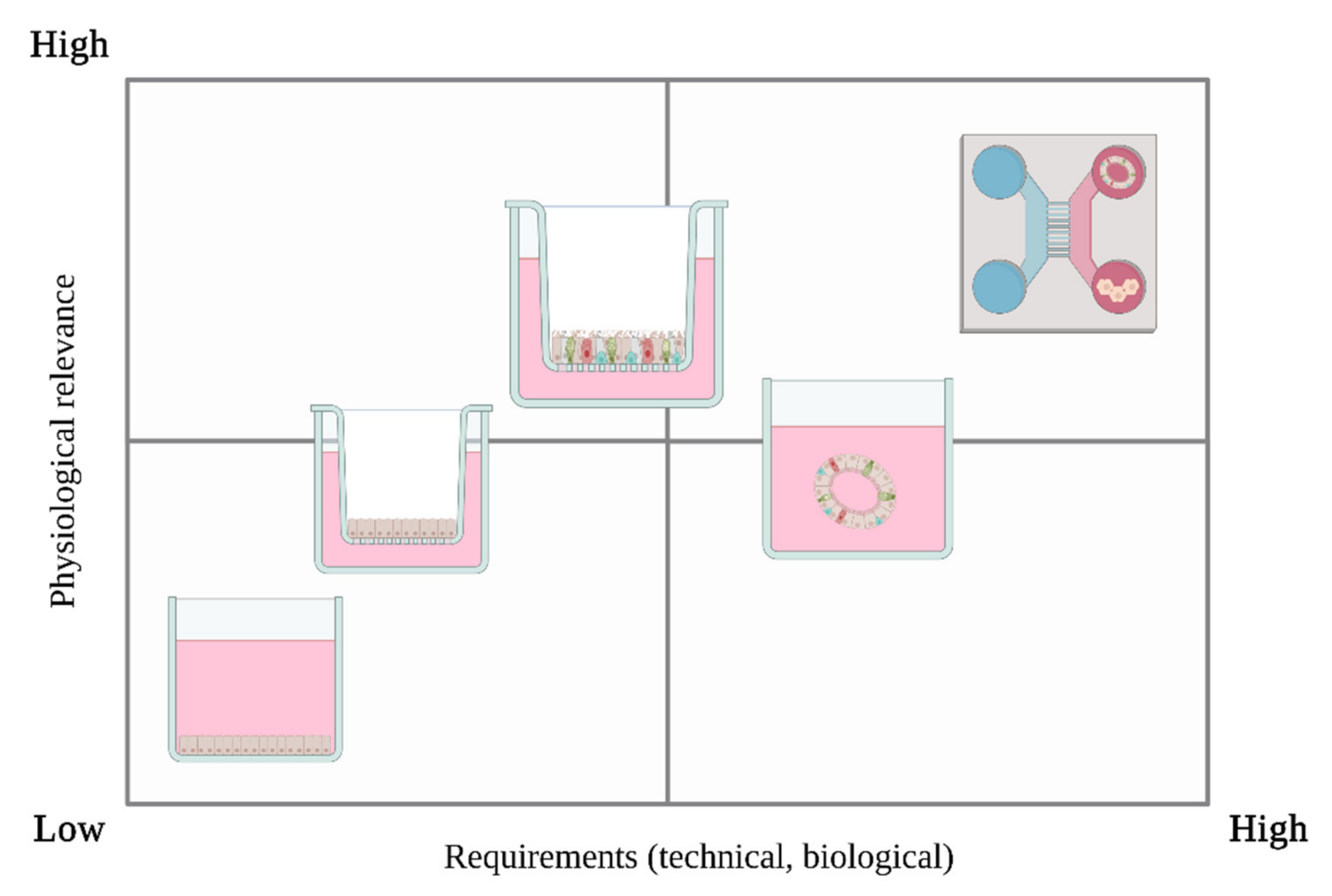 Jof 08 00075 g003 Jof 08 00075 g003