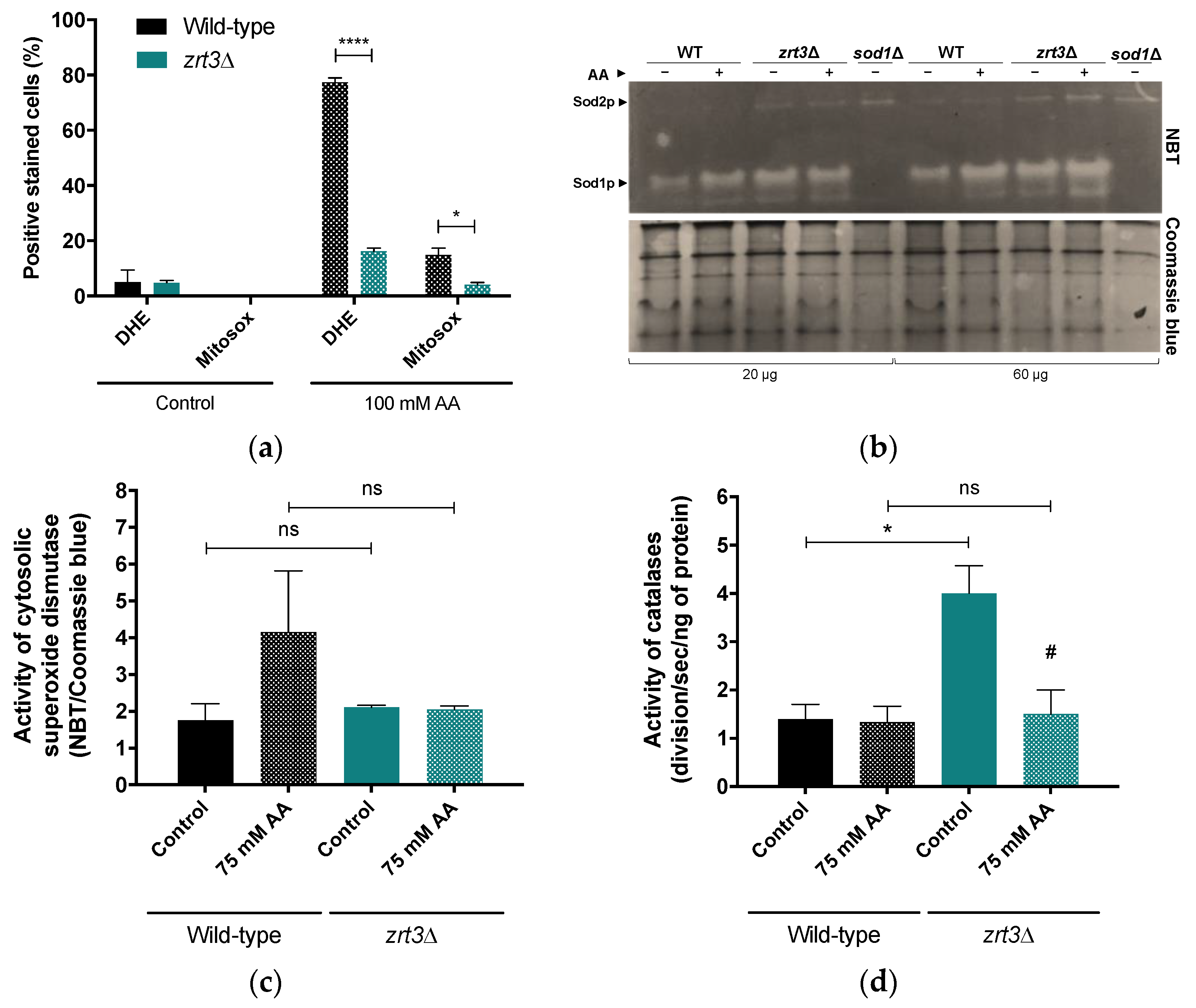 Jof 08 00078 g002 550