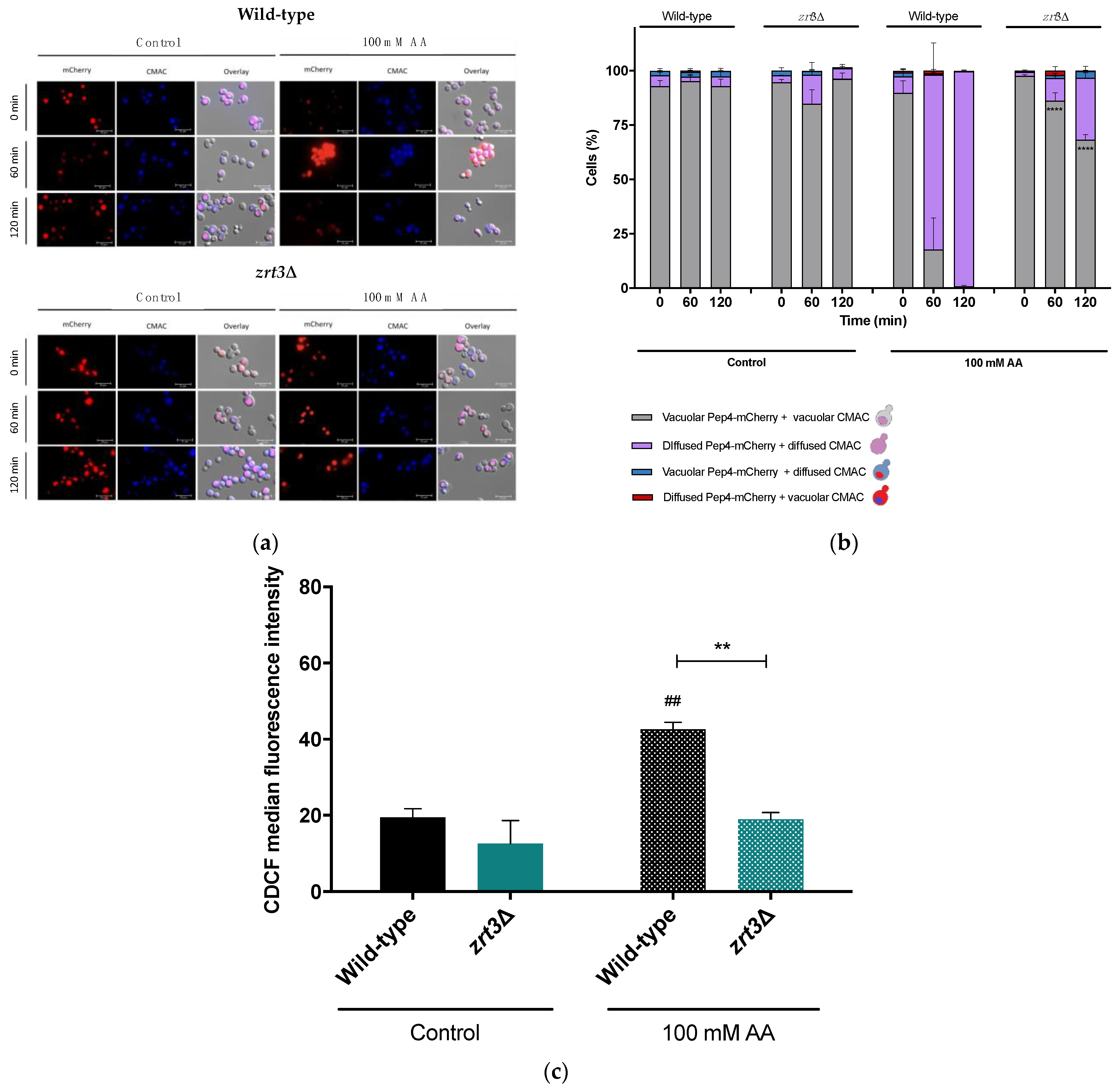 Jof 08 00078 g003 550