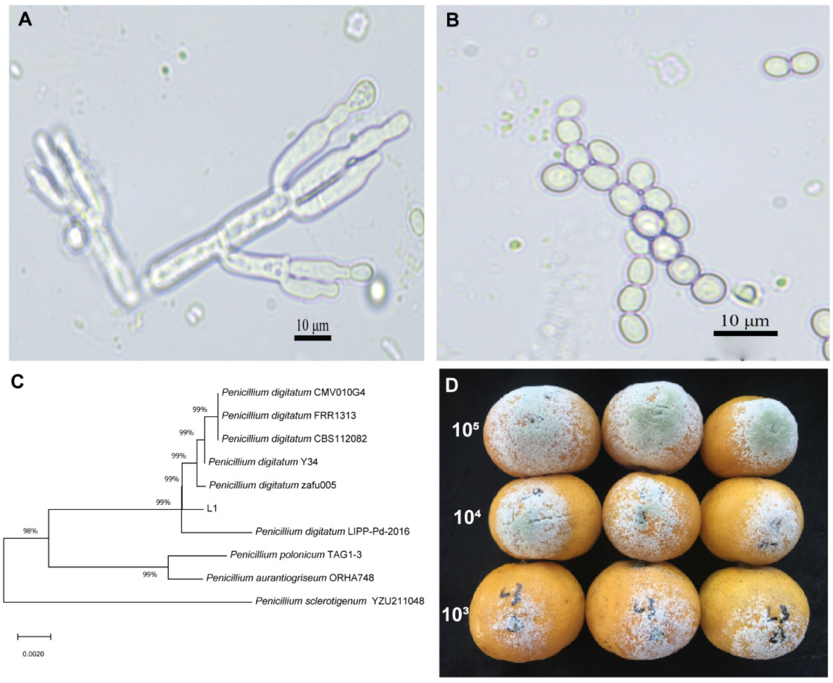 Jof 08 00080 g001 550