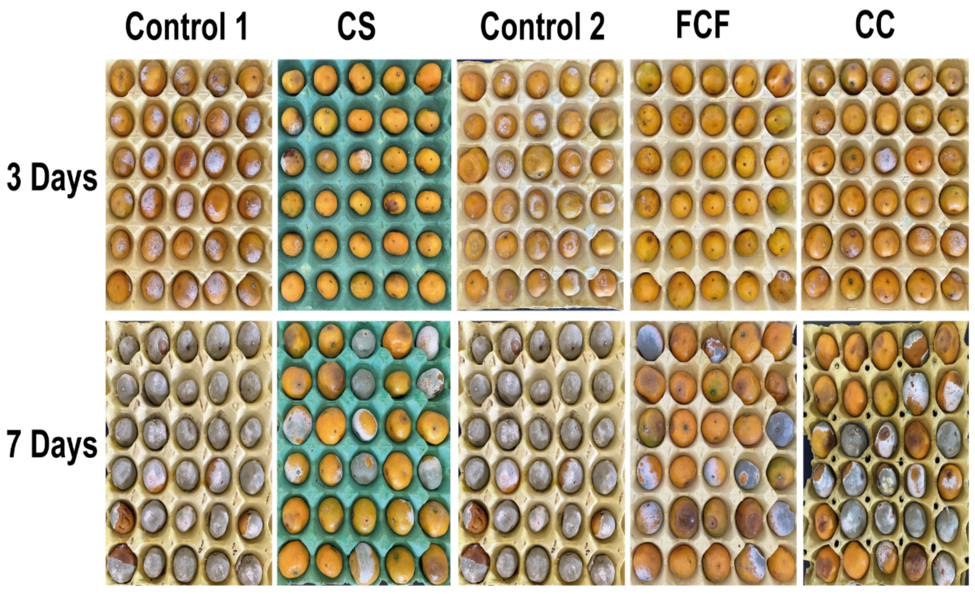 Jof 08 00080 g003 550