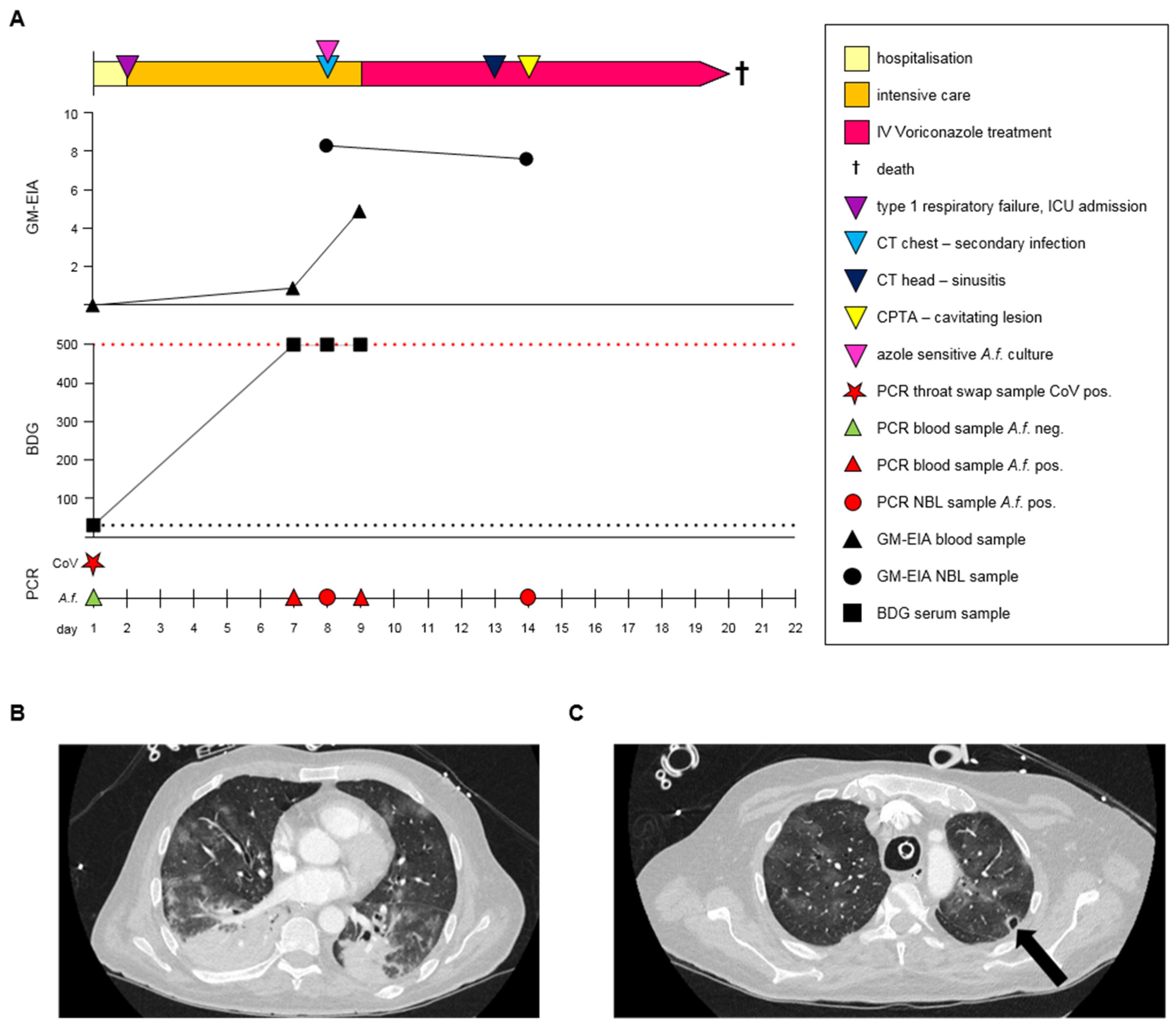 Jof 08 00081 g001 550