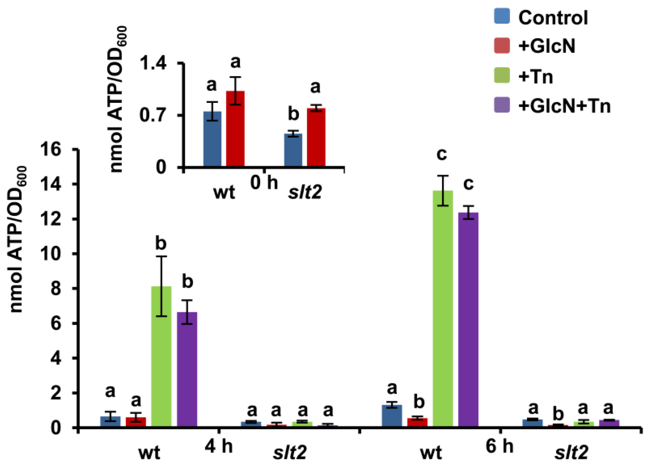 Jof 08 00092 g008 Jof 08 00092 g008
