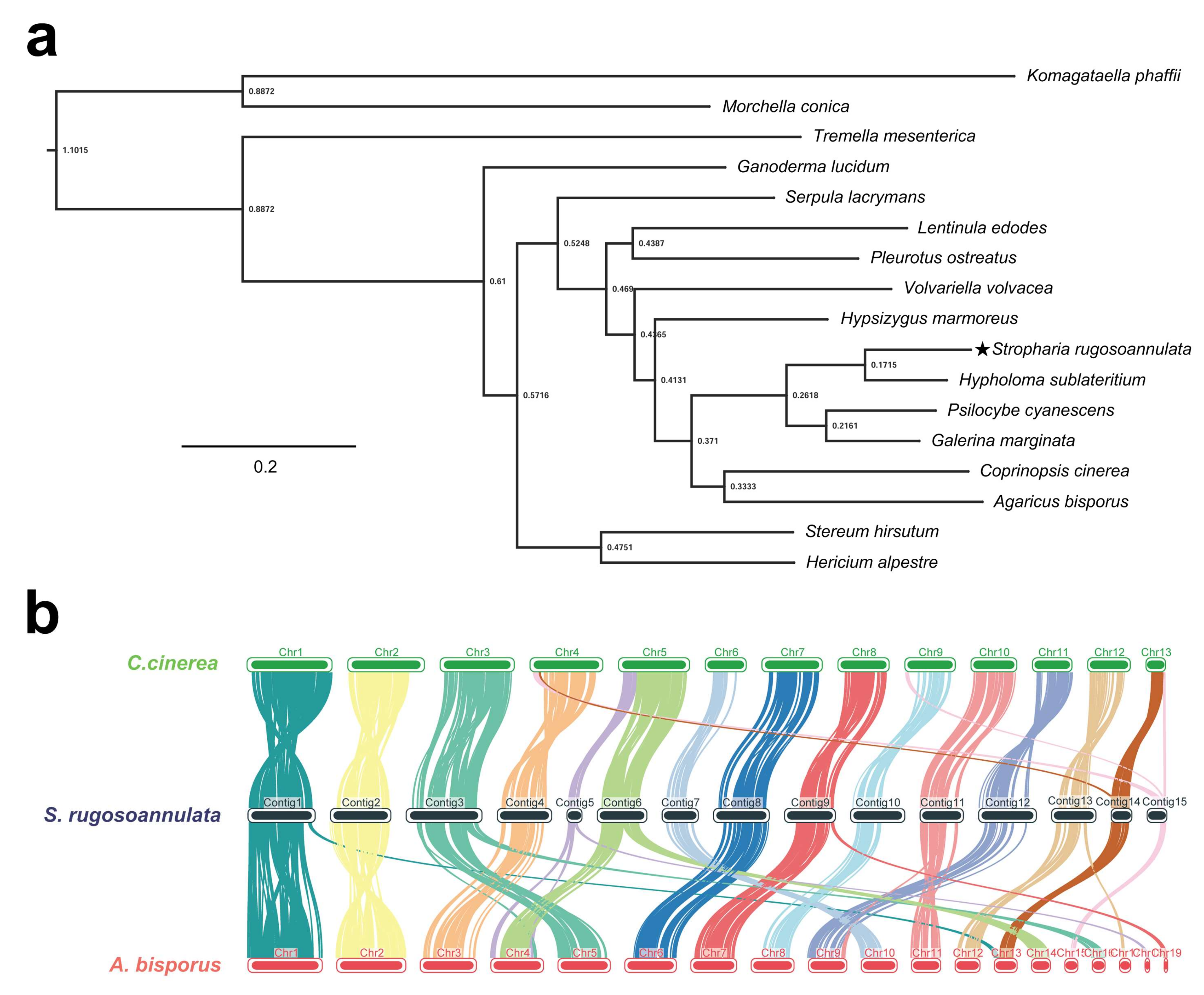 Jof 08 00099 g002 550