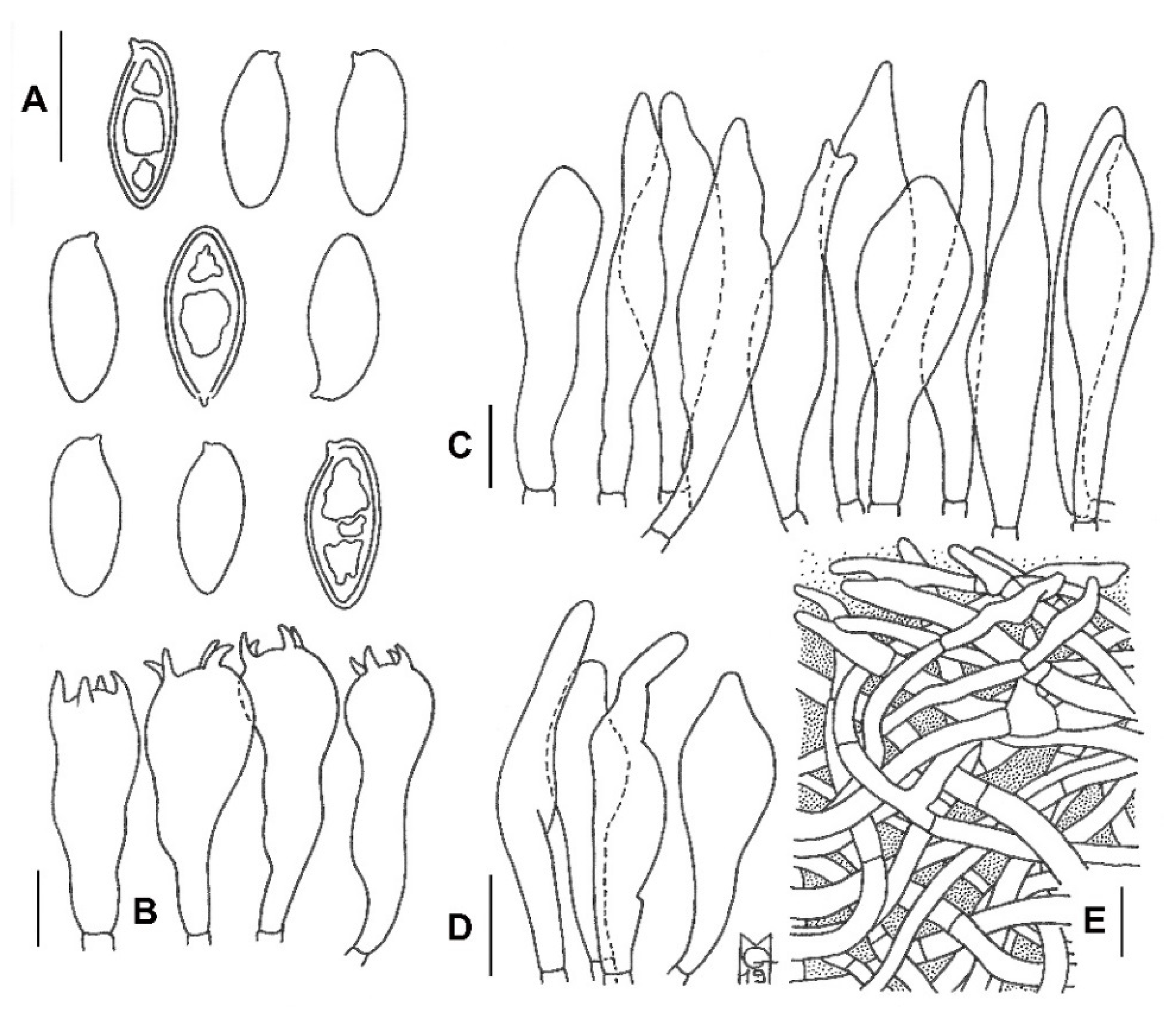 Jof 08 00101 g003 Jof 08 00101 g003