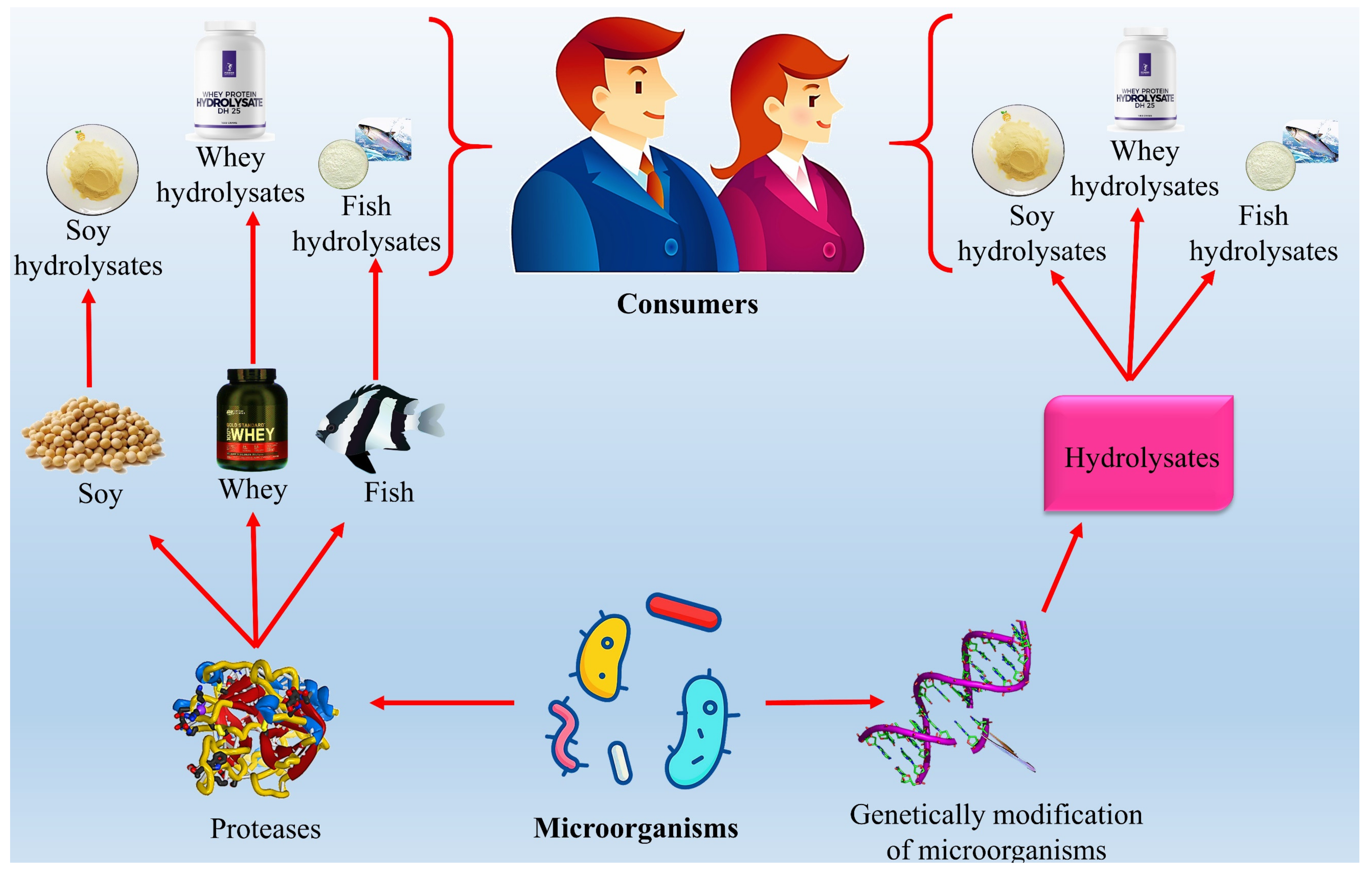 Jof 08 00109 g007 Jof 08 00109 g007