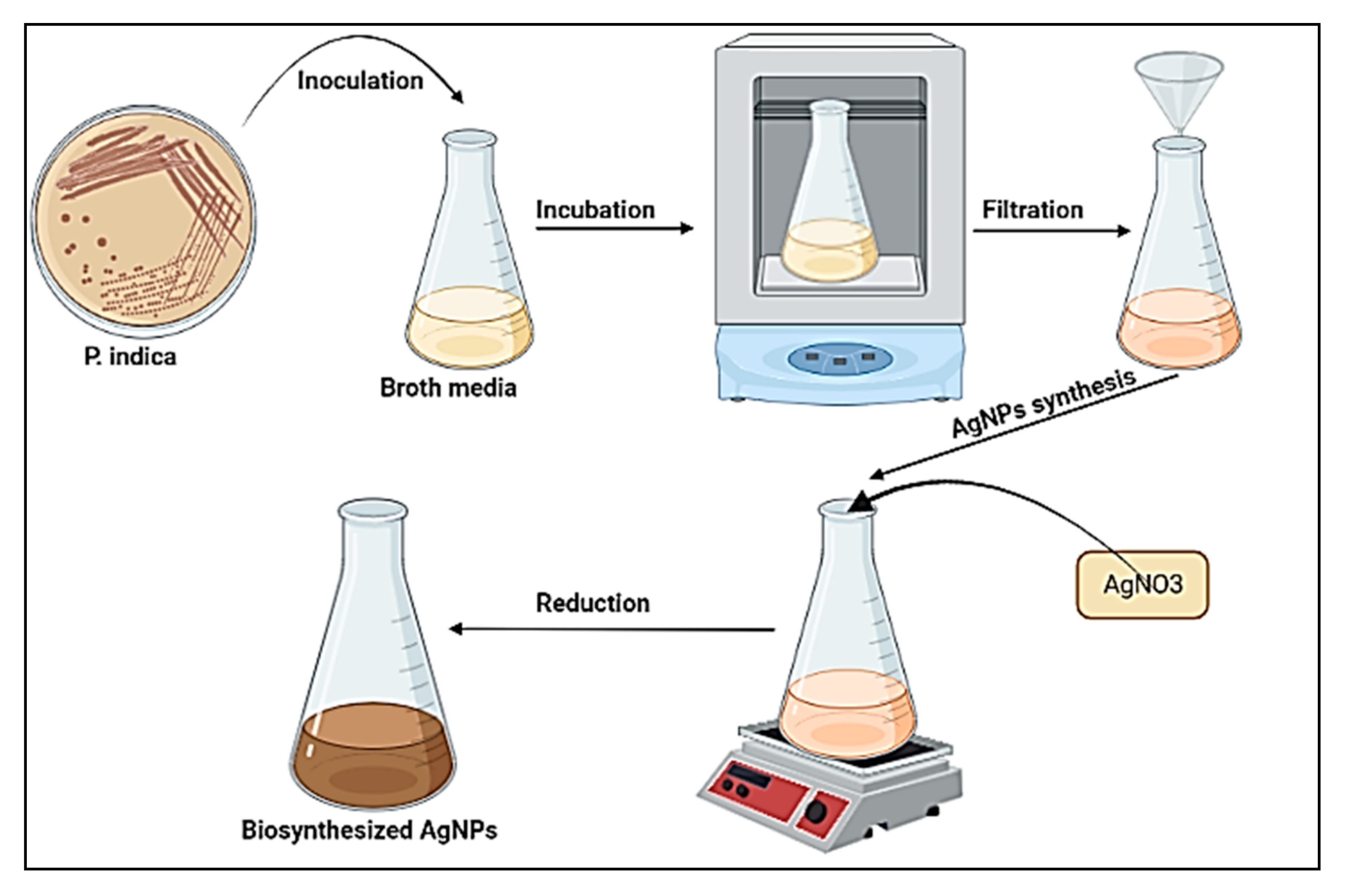 Jof 08 00126 g001 550