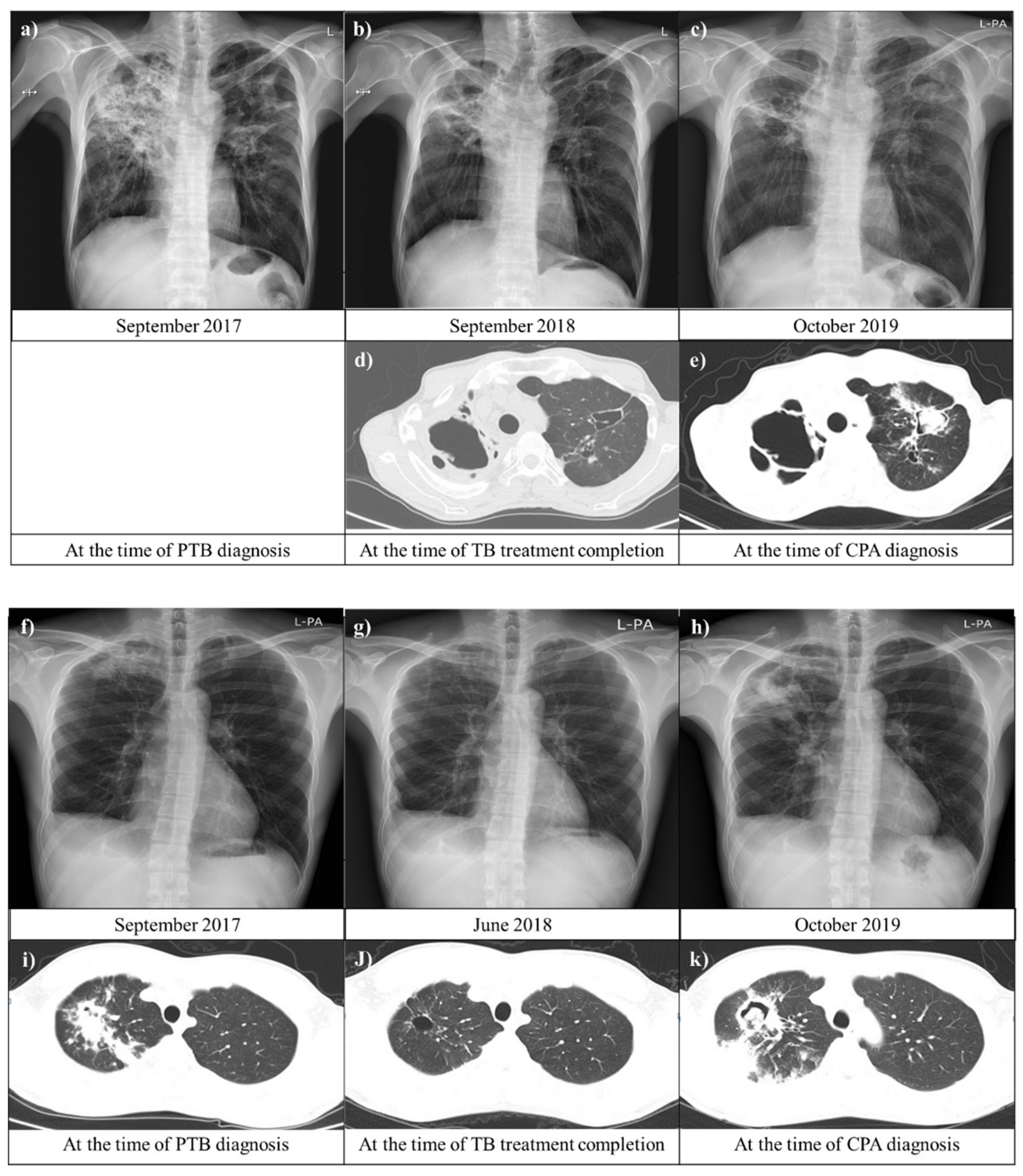 Jof 08 00130 g003 550