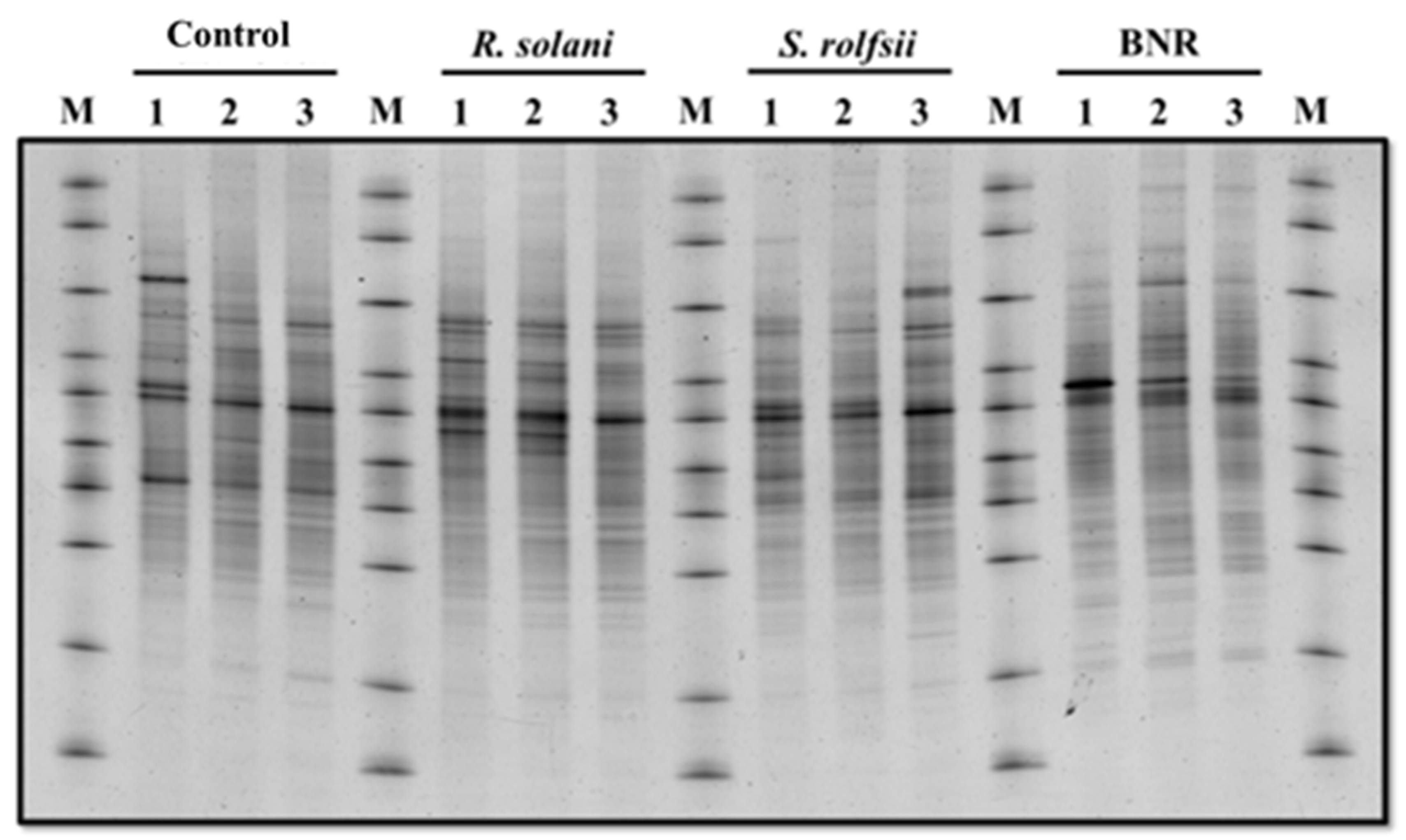 Jof 08 00133 g001 550